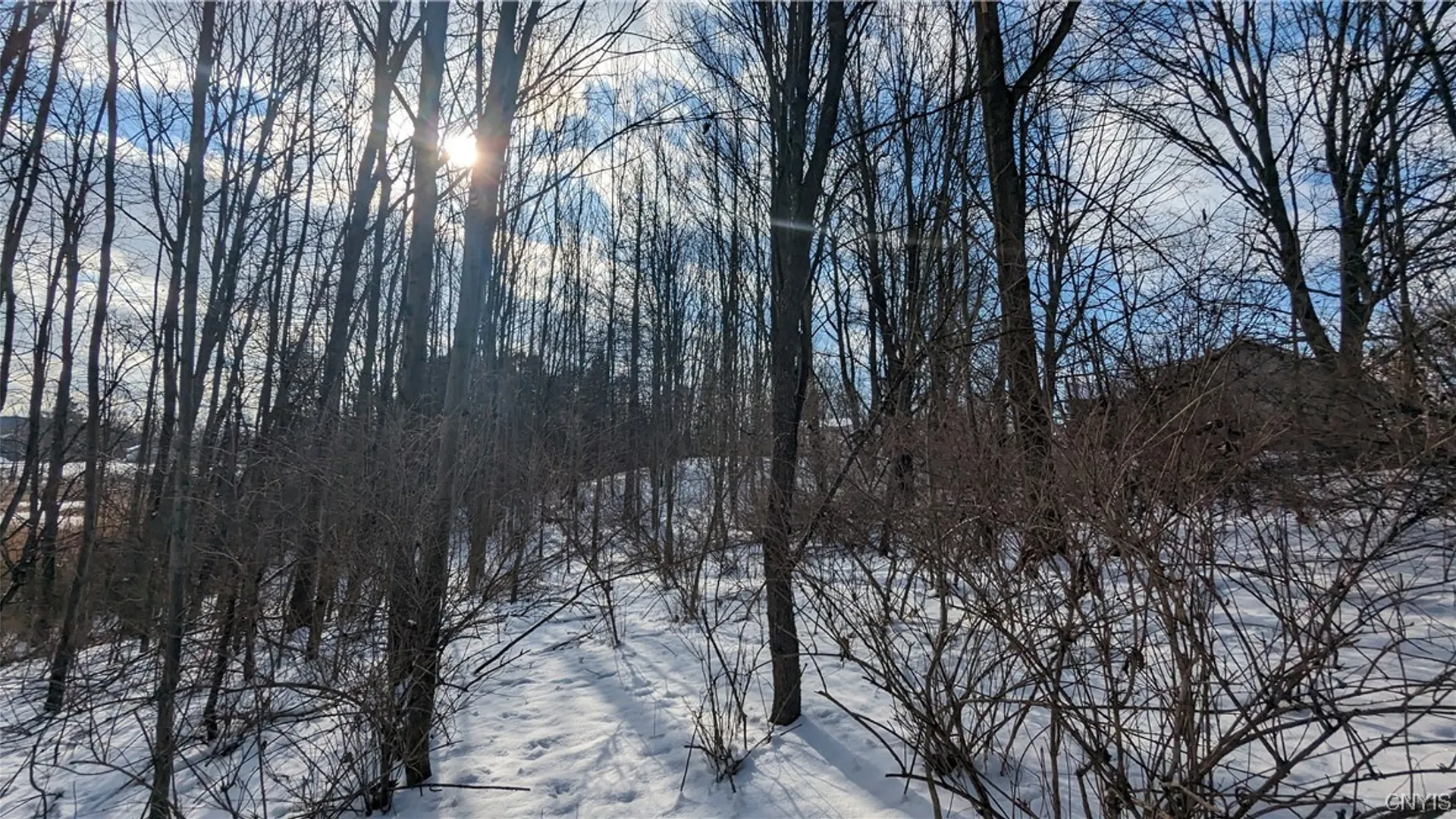 Property at 0 Westland Drive, Eaton, NY 13310 7