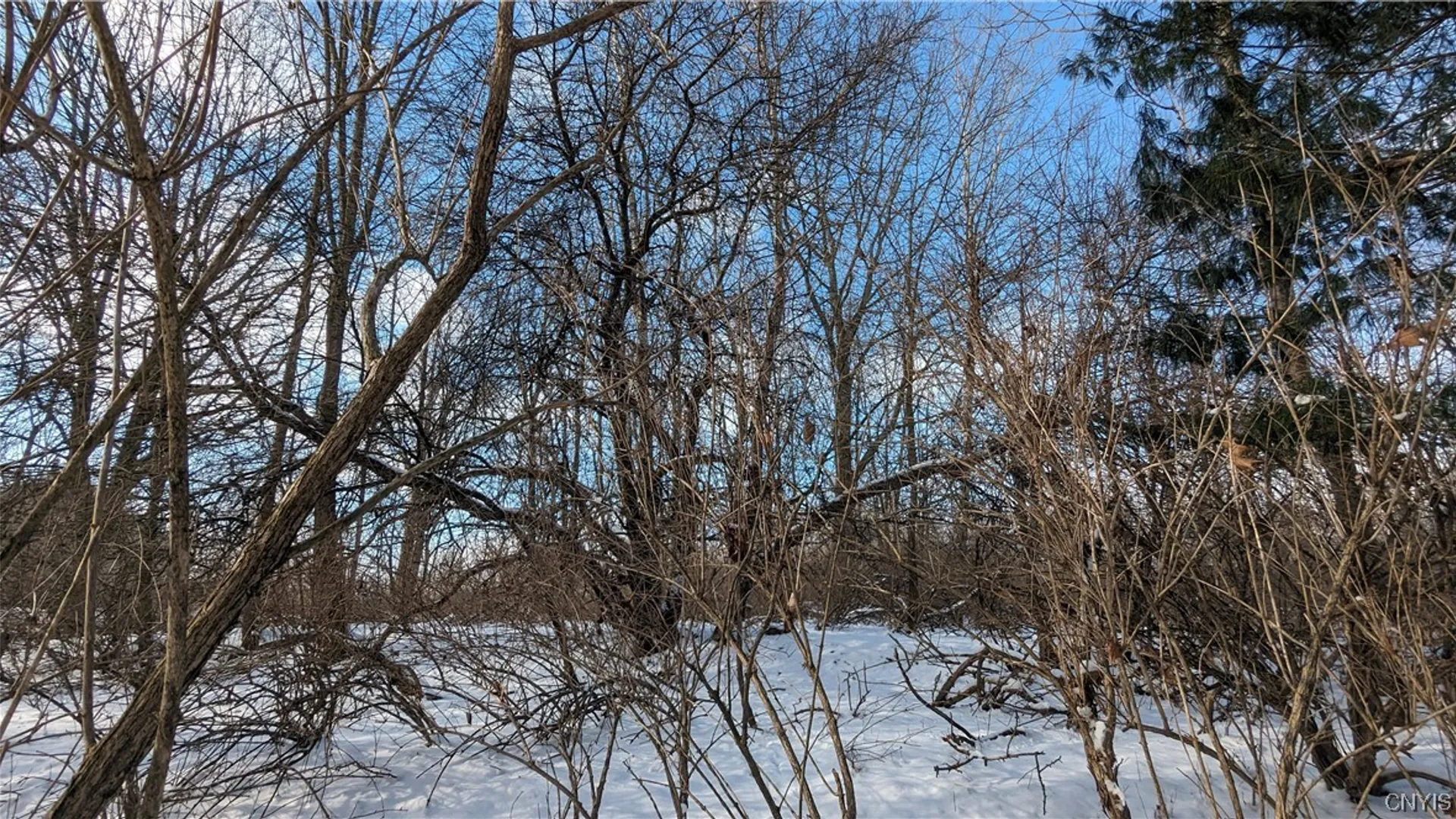 Property at 0 Westland Drive, Eaton, NY 13310 8