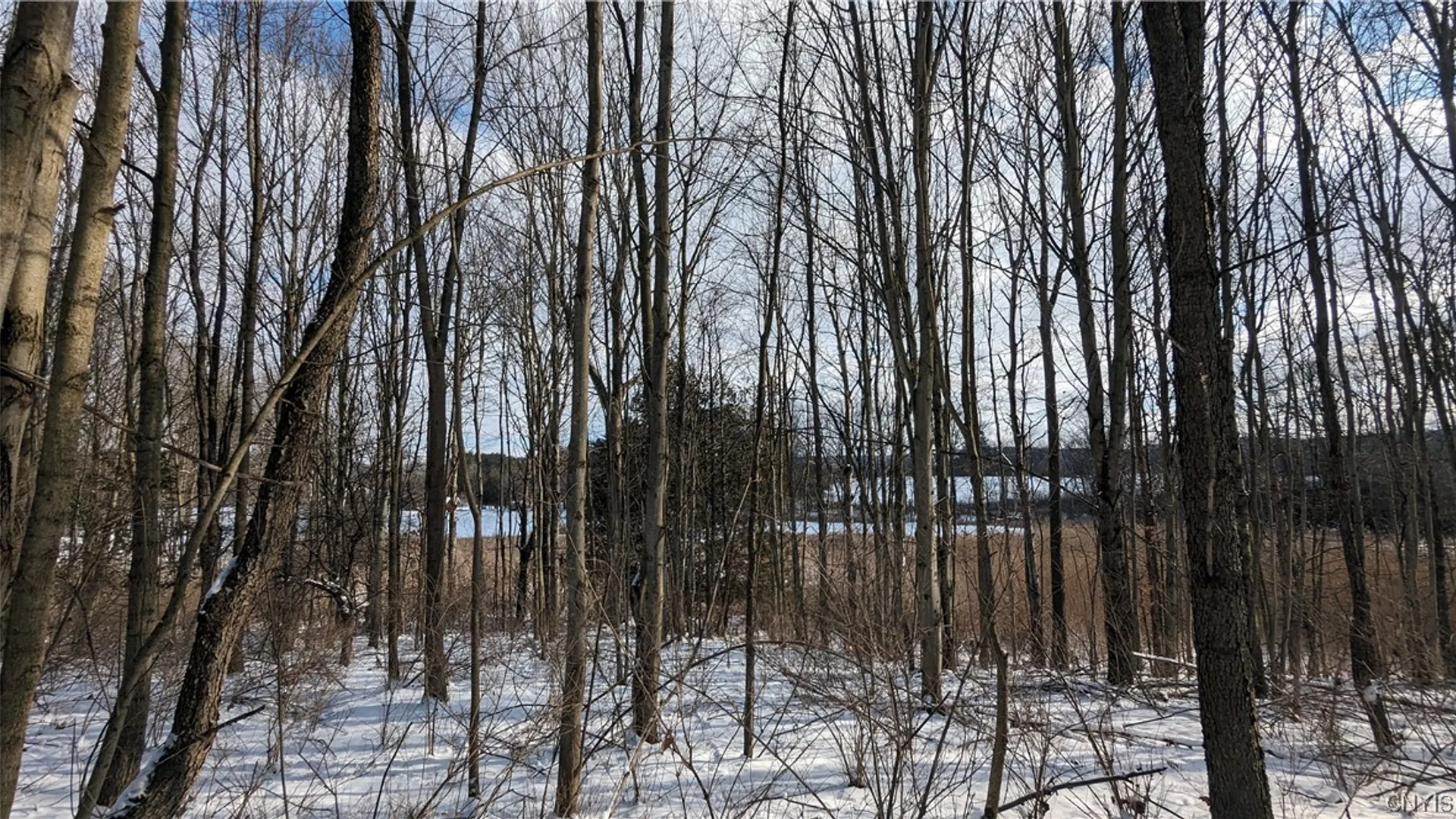 Property at 0 Westland Drive, Eaton, NY 13310 9