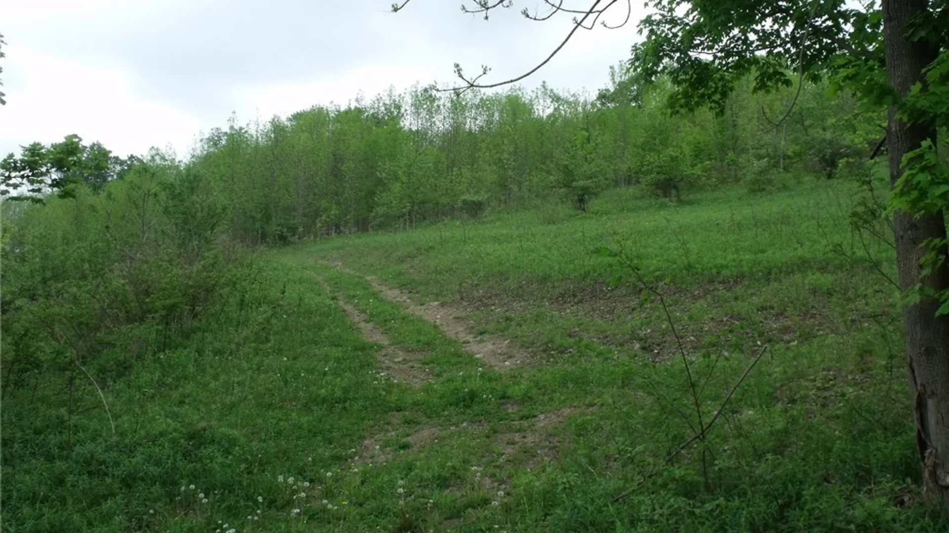 Property at 0 Polly Miller Road, Columbia, NY 13407 3