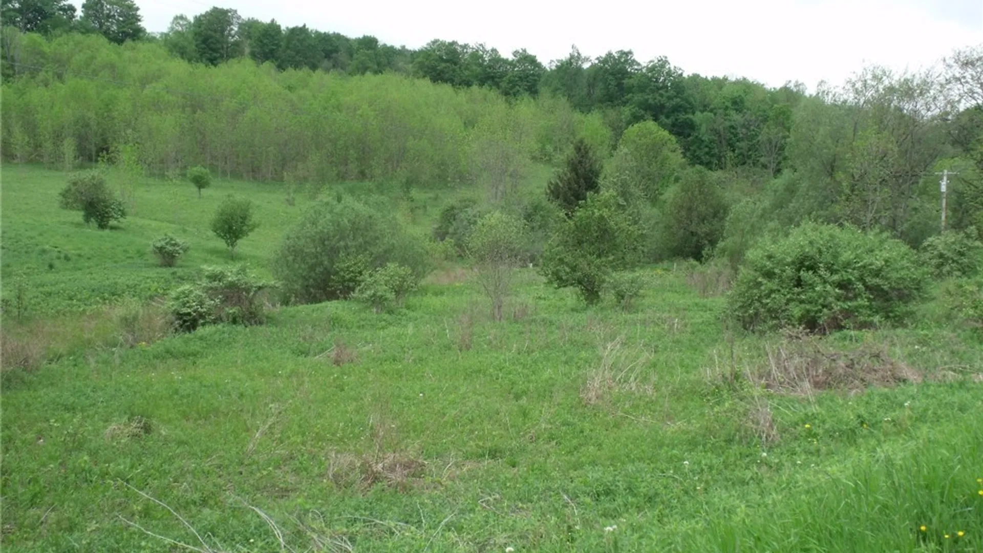 Property at 0 Polly Miller Road, Columbia, NY 13407 4