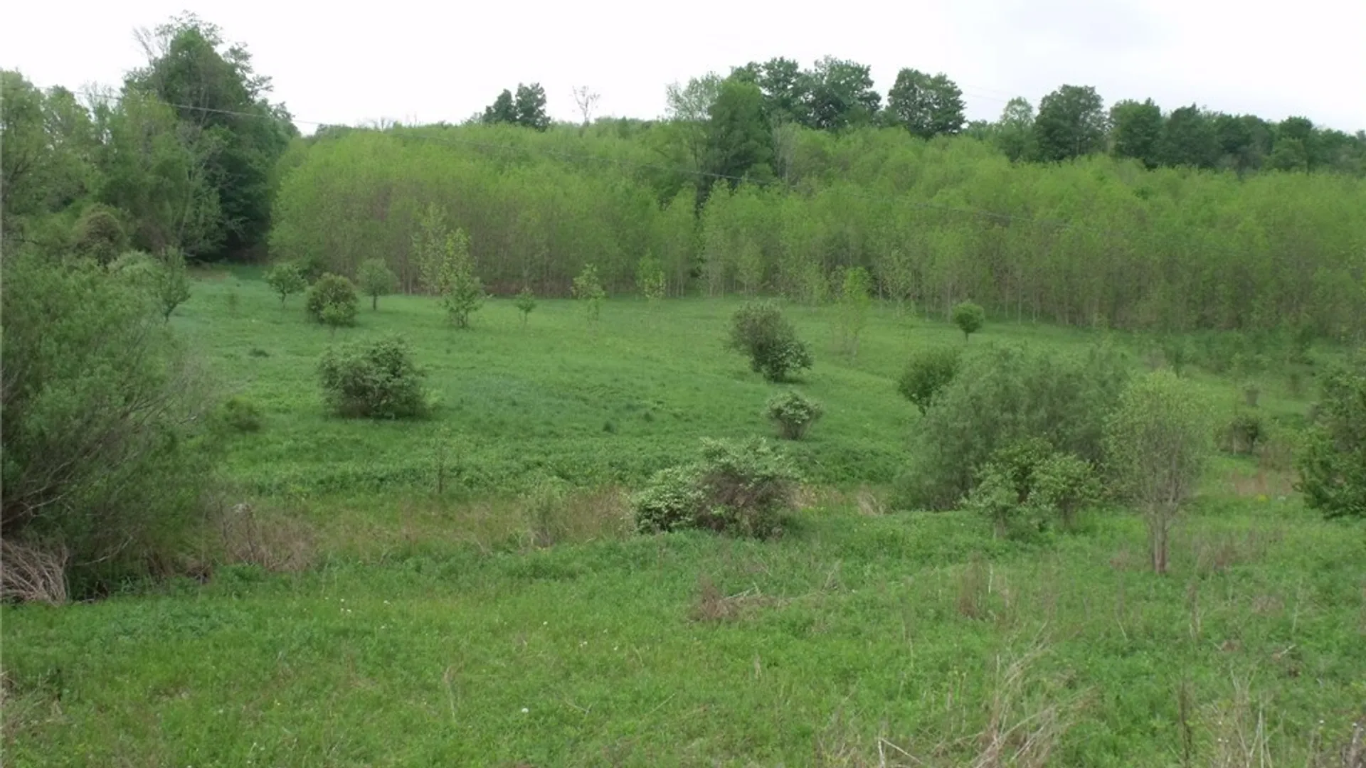 Property at 0 Polly Miller Road, Columbia, NY 13407 5