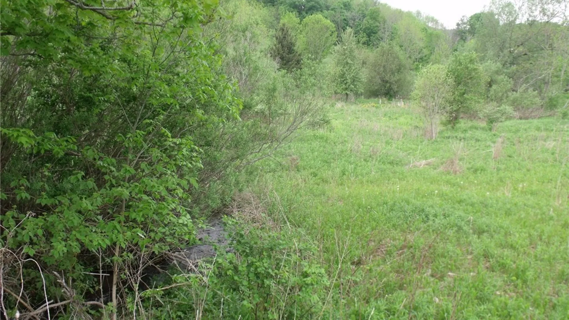 Property at 0 Polly Miller Road, Columbia, NY 13407 7