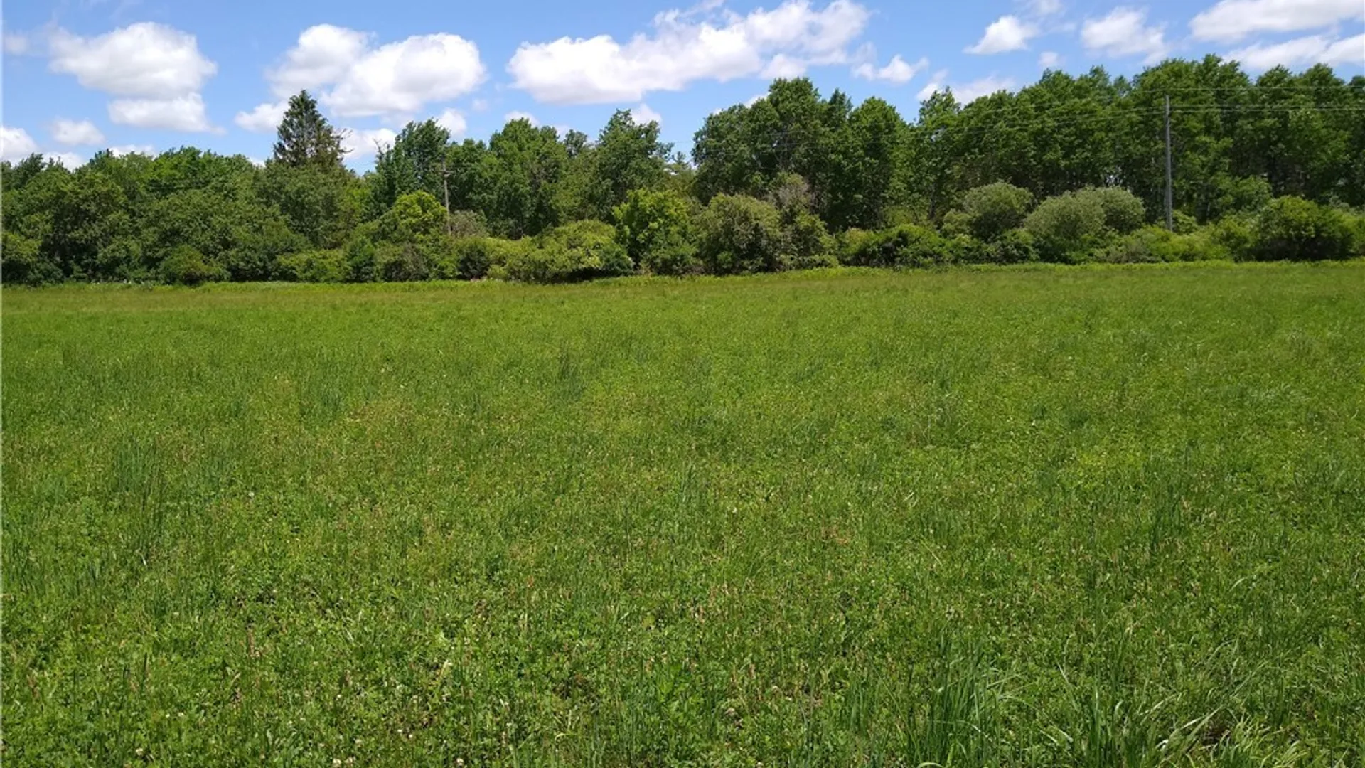 Property at 0 Eaton Road, Hamilton, NY 13346 3