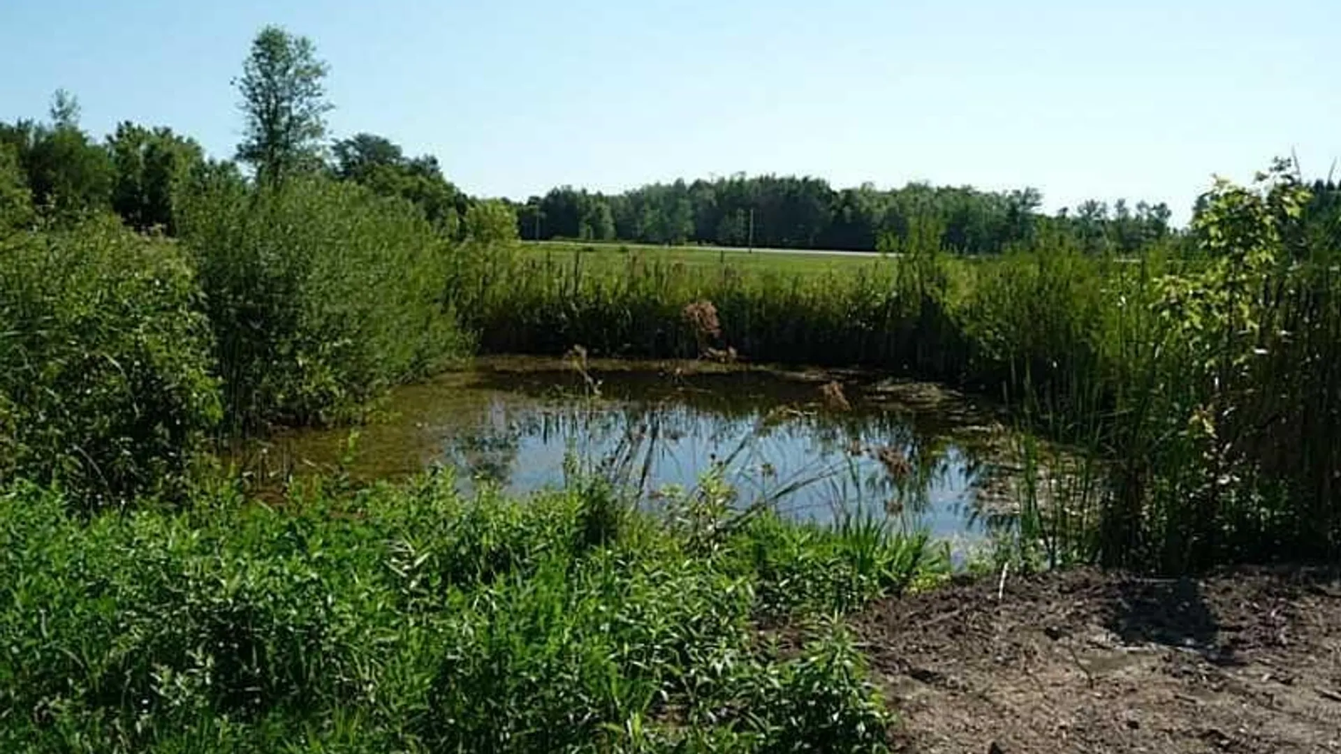 Property at 0 Route 13, Lenox, NY 13032 3