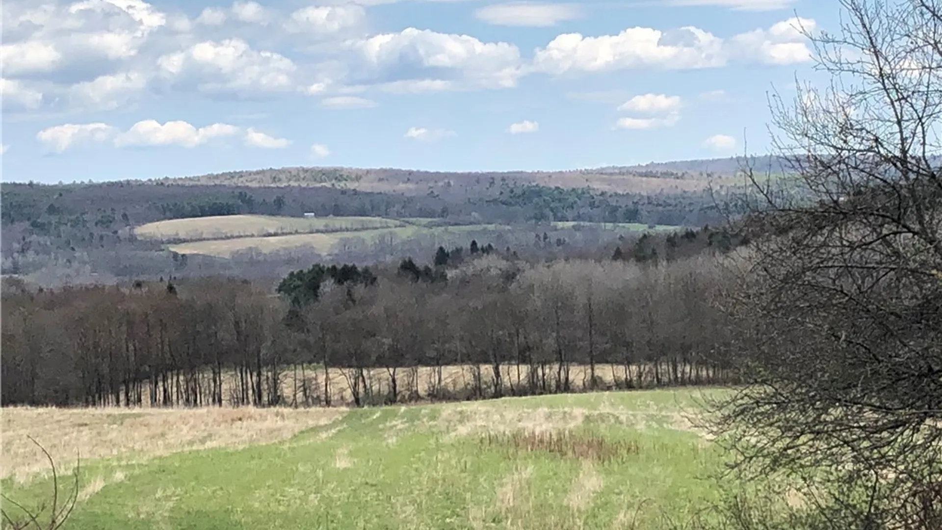 Property at 608 Pendell Hill Road, Barker, NY 13862 12