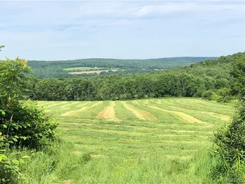Property at 608 Pendell Hill Road, Barker, NY 13862