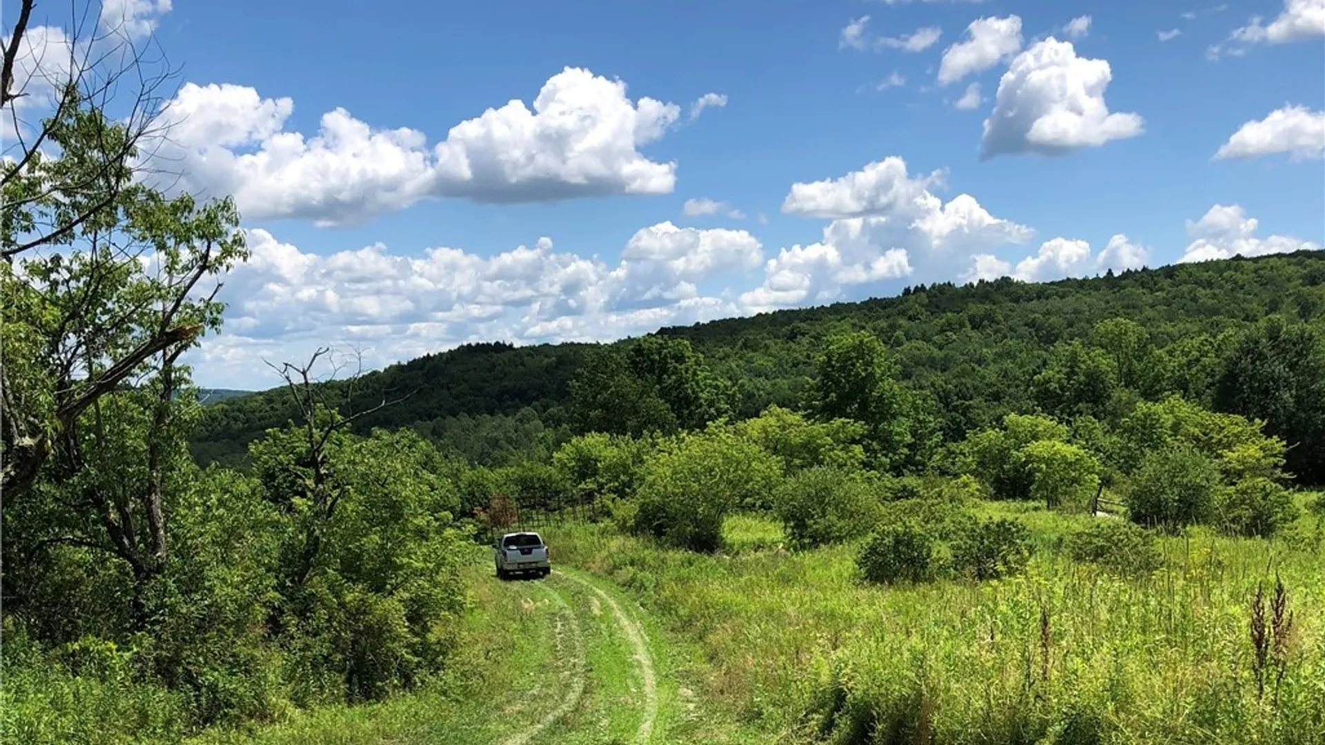 Property at 608 Pendell Hill Road, Barker, NY 13862 2