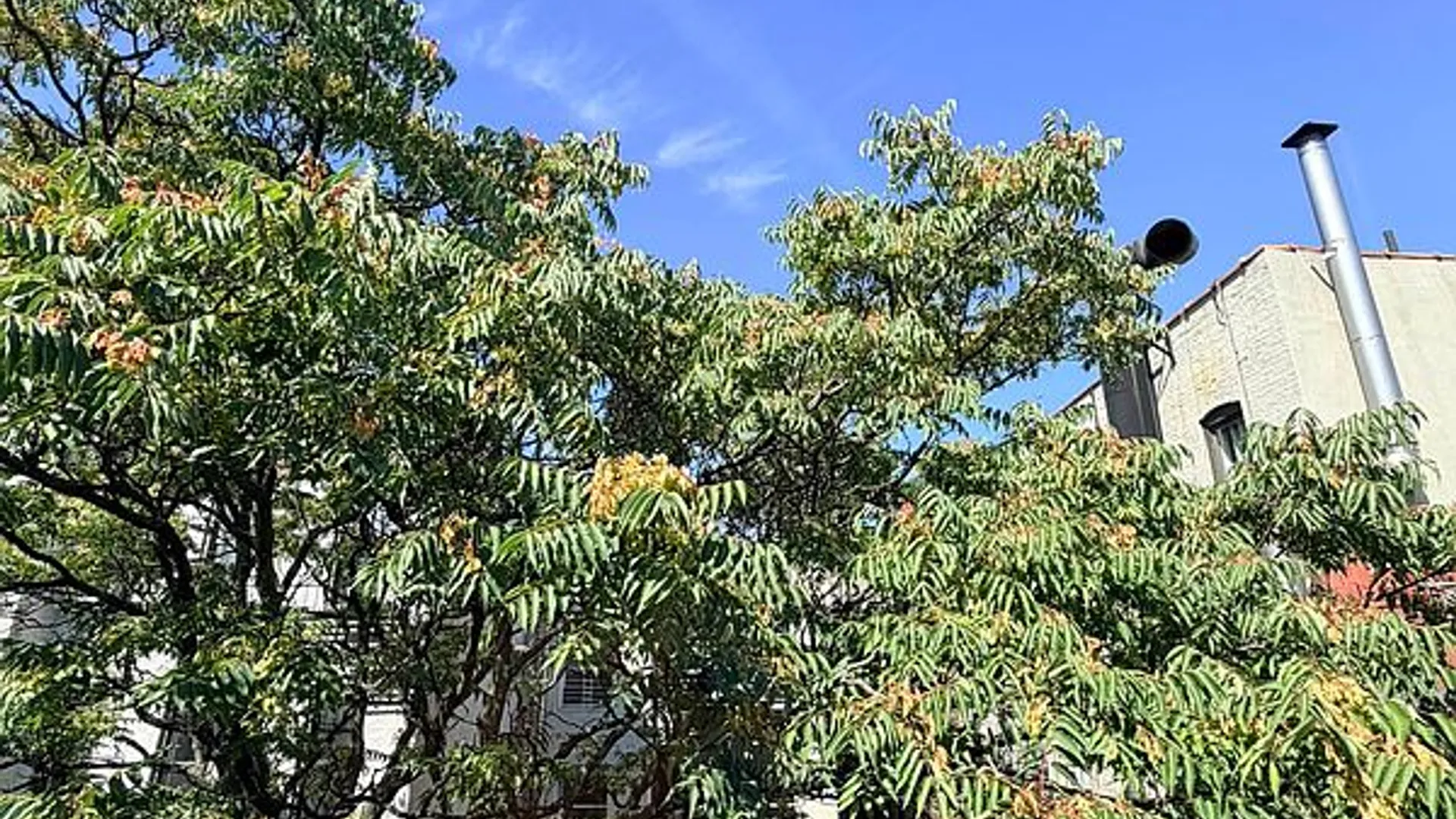 Property at 197 East 3rd Street, New York, NY 10009 14