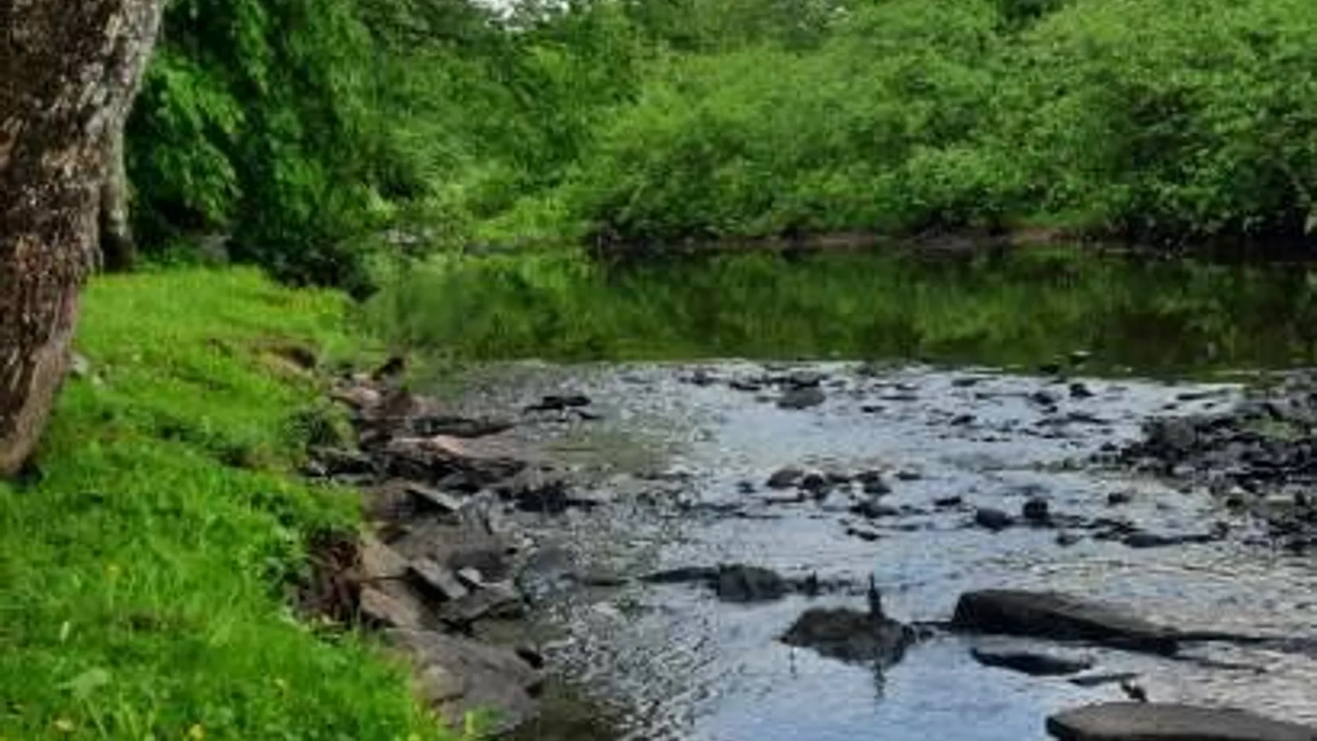 Property at 104 Old Herrick Road, Halcottsville, NY 12438 3