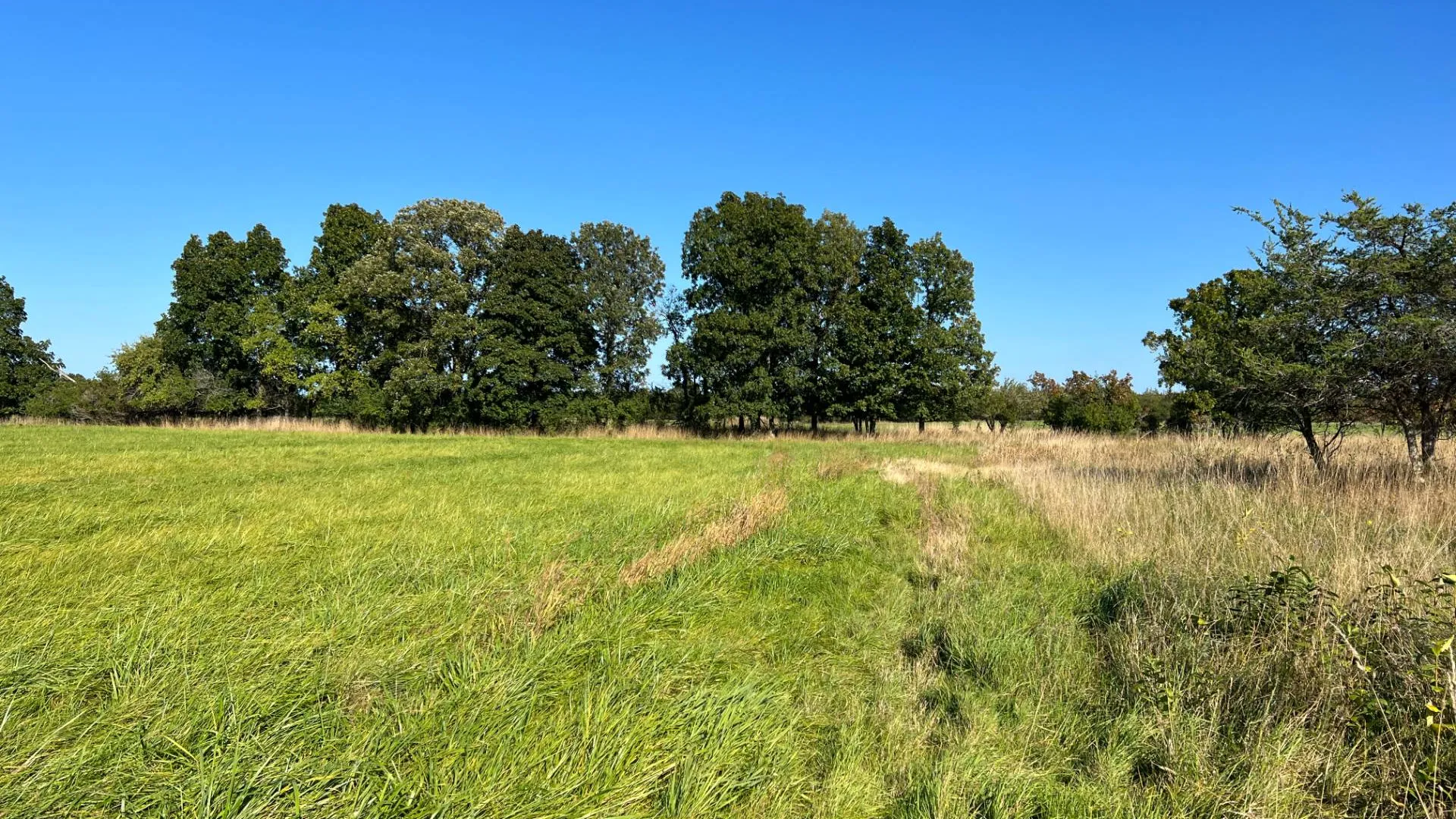 Property at 000 NYS Rte 3 Rd, Henderson, NY 12986 6