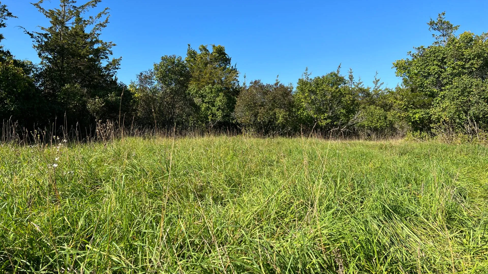 Property at 000 NYS Rte 3 Rd, Henderson, NY 12986 15