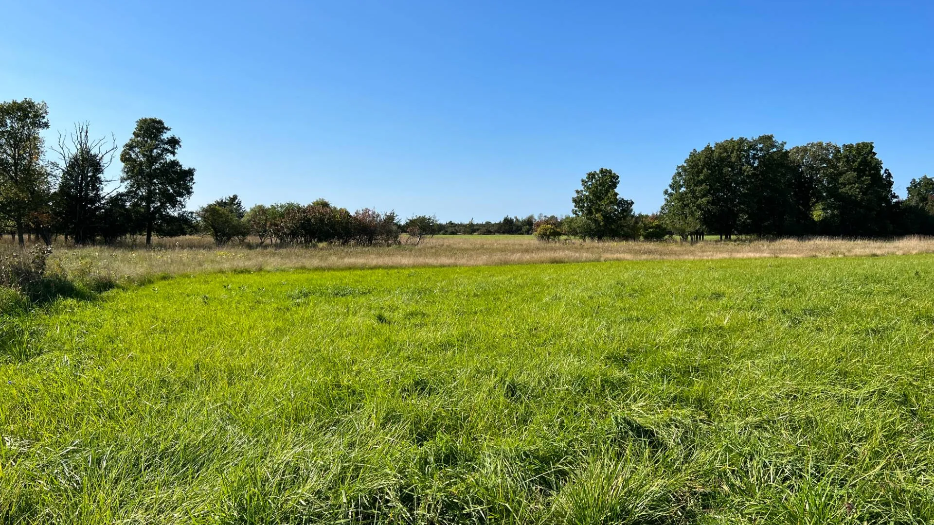 Property at 000 NYS Rte 3 Rd, Henderson, NY 12986 16