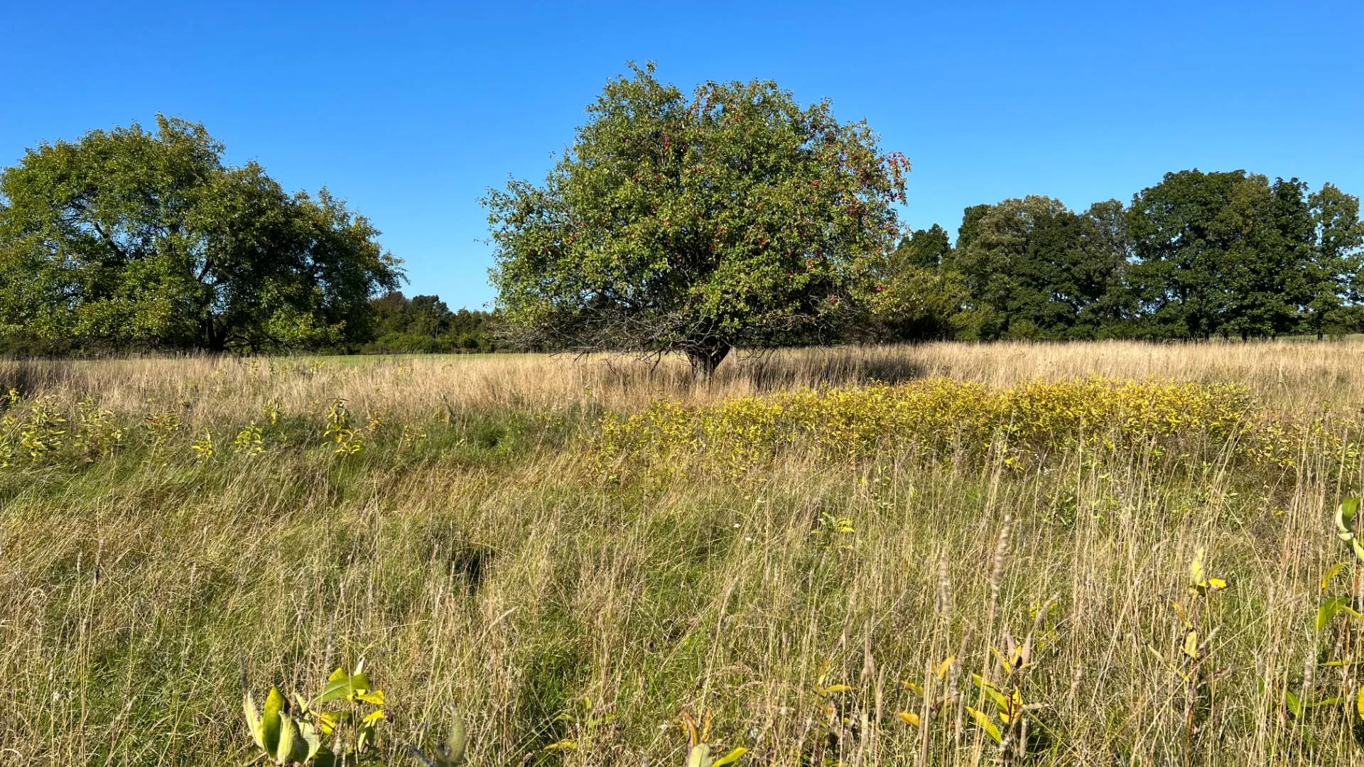 Property at 000 NYS Rte 3 Rd, Henderson, NY 12986 19