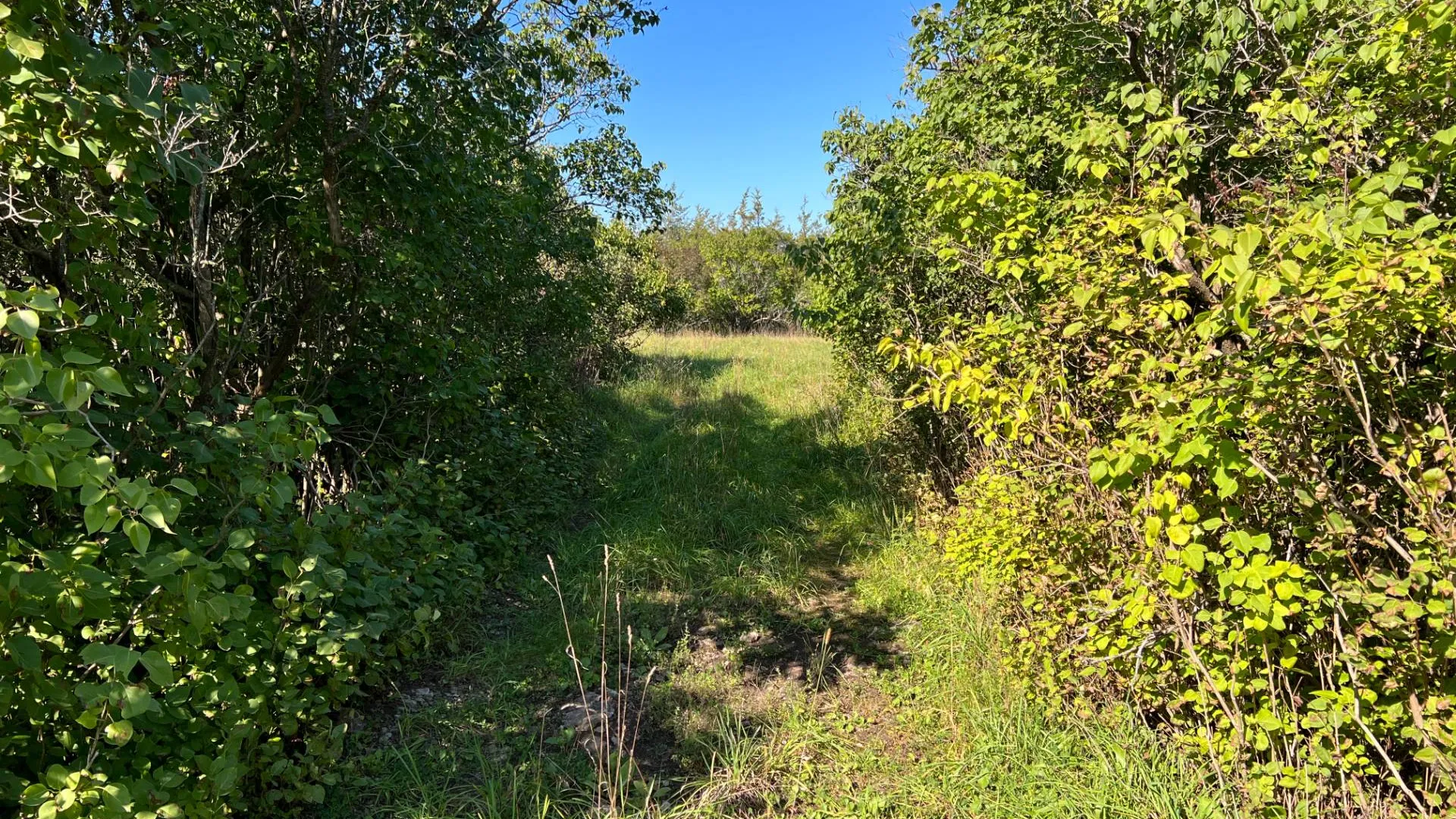 Property at 000 NYS Rte 3 Rd, Henderson, NY 12986 21