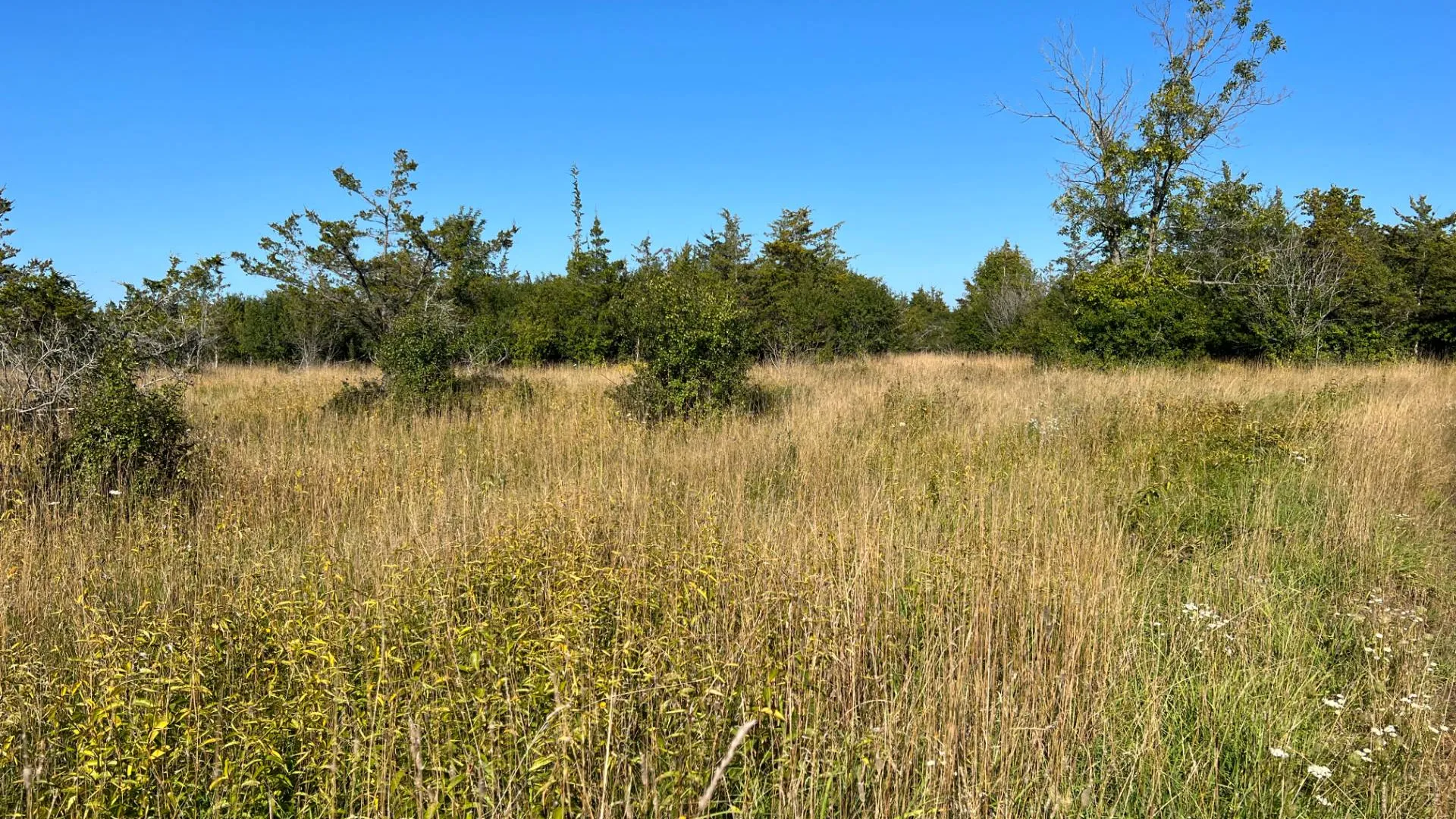 Property at 000 NYS Rte 3 Rd, Henderson, NY 12986 22