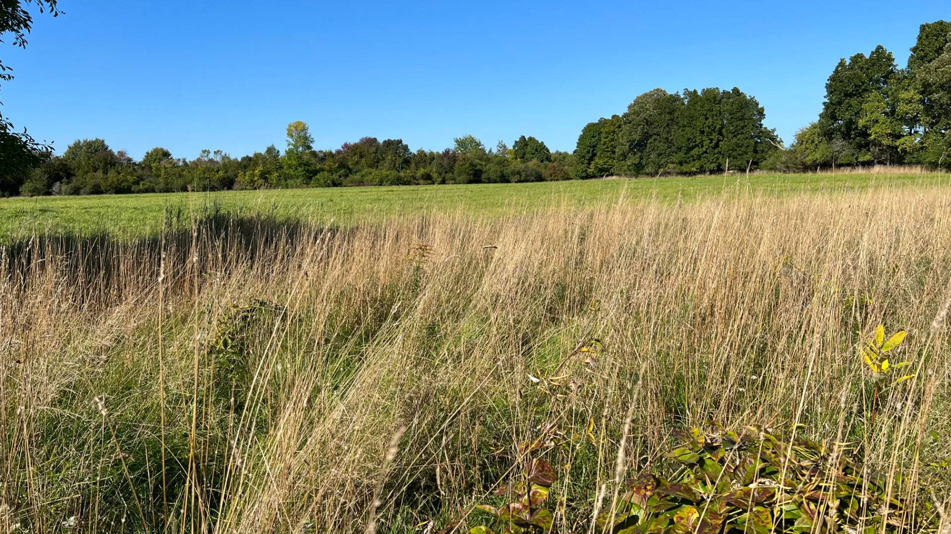 Property at 000 NYS Rte 3 Rd, Henderson, NY 12986 27