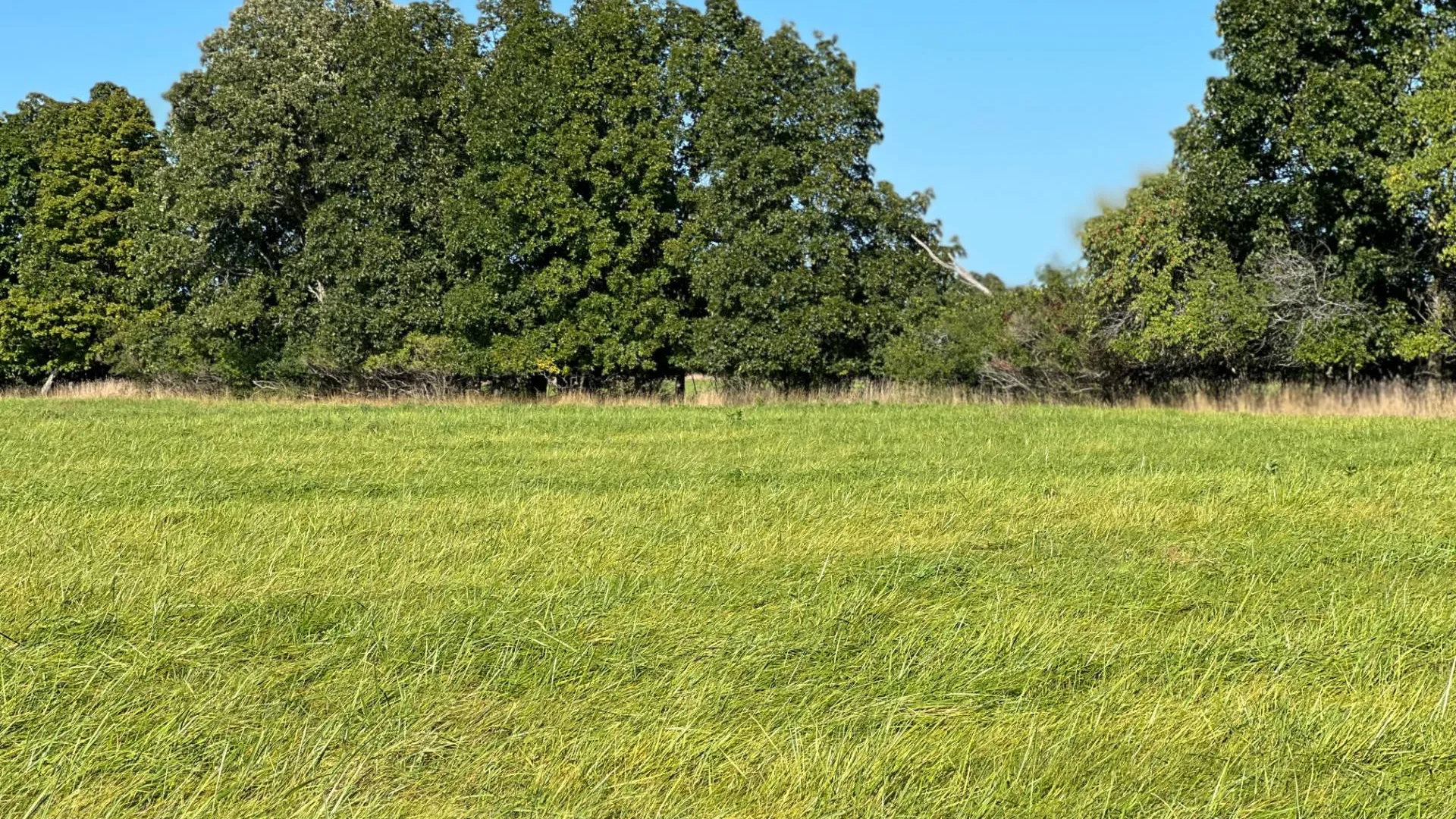 Property at 000 NYS Rte 3 Rd, Henderson, NY 12986 30