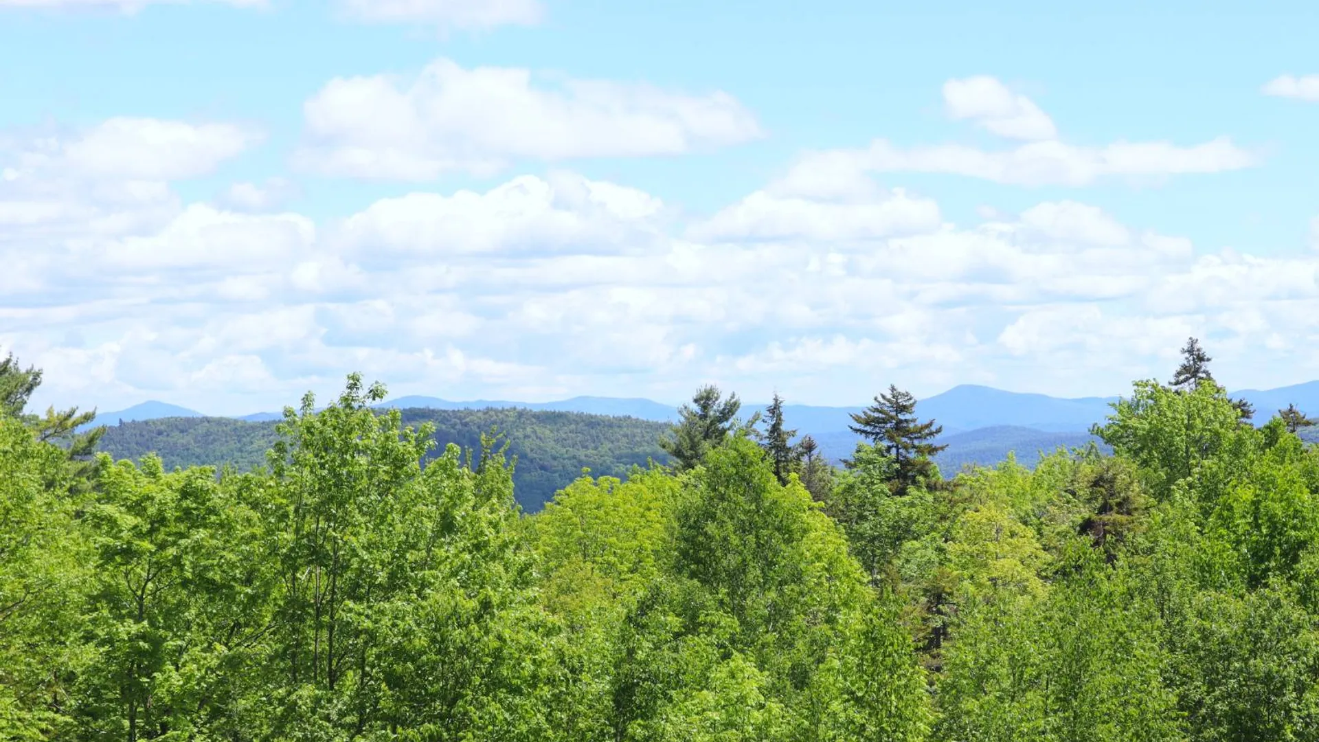 Property at 251 Ski Hi Rd, Athol, NY 12810 10