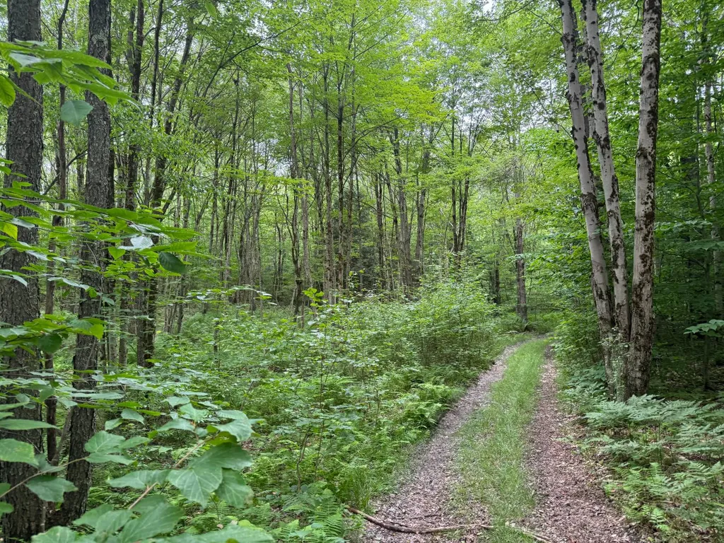 Property at Lot 10 Lee Rd, Florence, NY 13316