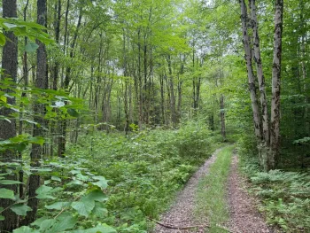 Property at Lot 10 Lee Rd, Florence, NY 13316