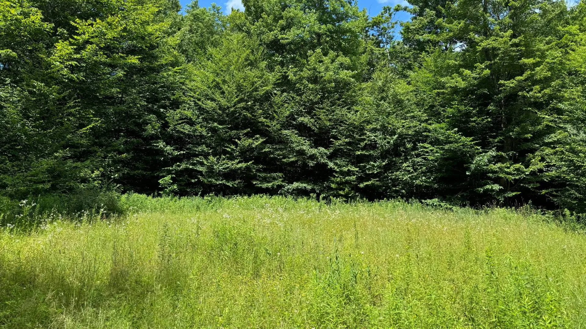 Property at Lot 10 Lee Rd, Florence, NY 13316 3