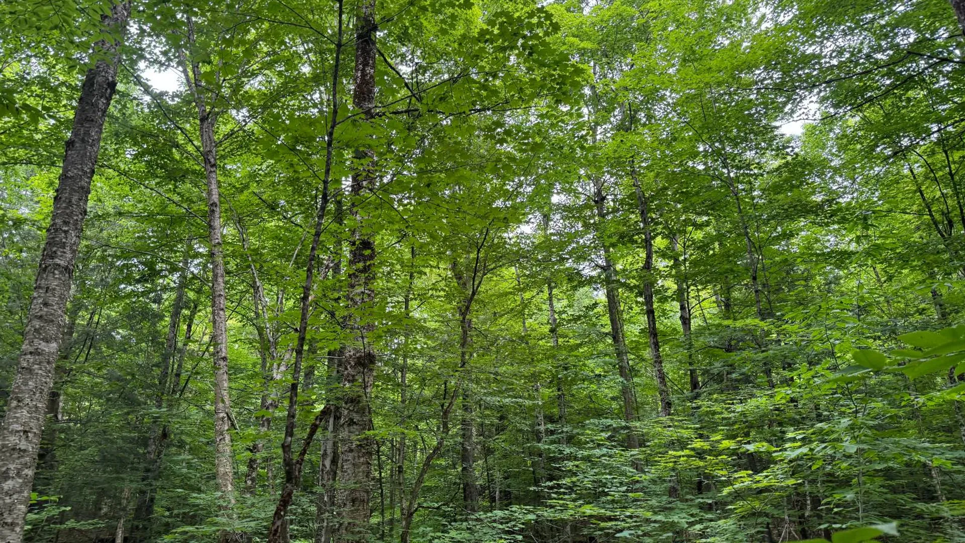 Property at Lot 10 Lee Rd, Florence, NY 13316 5