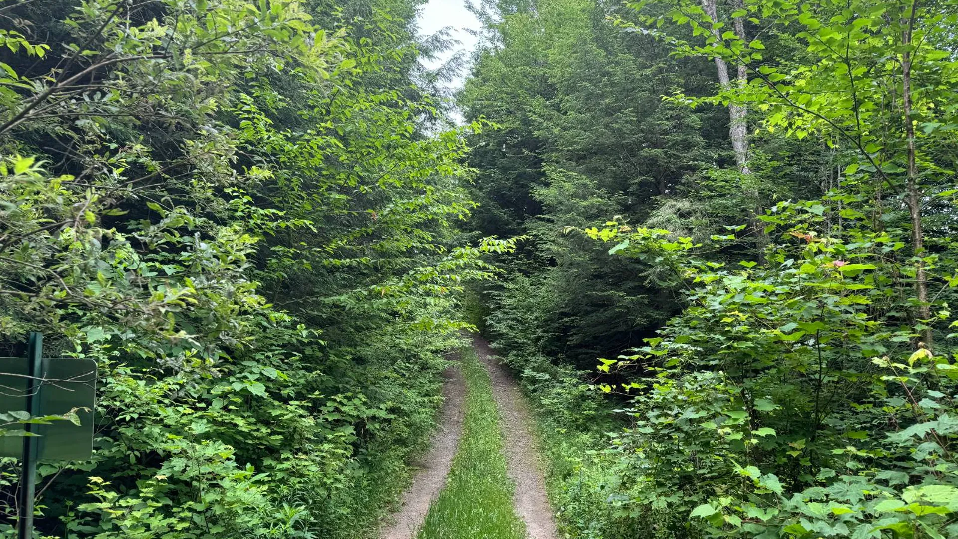 Property at Lot 10 Lee Rd, Florence, NY 13316 6