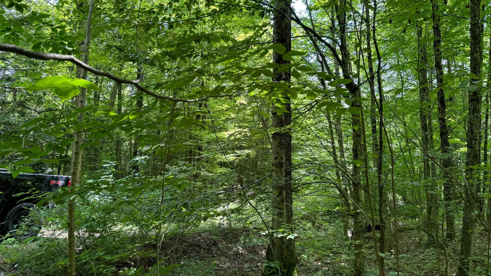 Property at Lot 10 Lee Rd, Florence, NY 13316 8