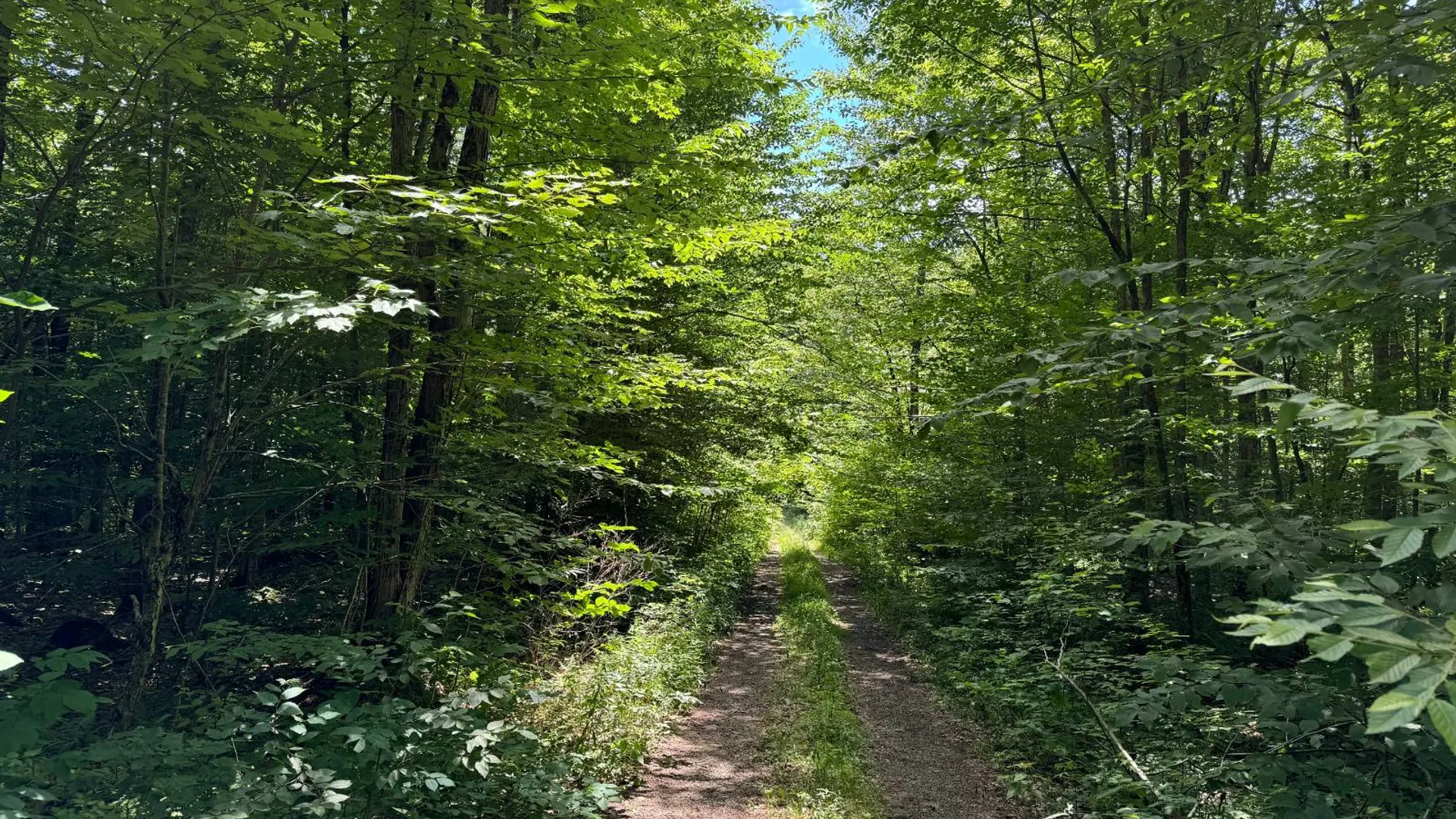 Property at Lot 10 Lee Rd, Florence, NY 13316 9
