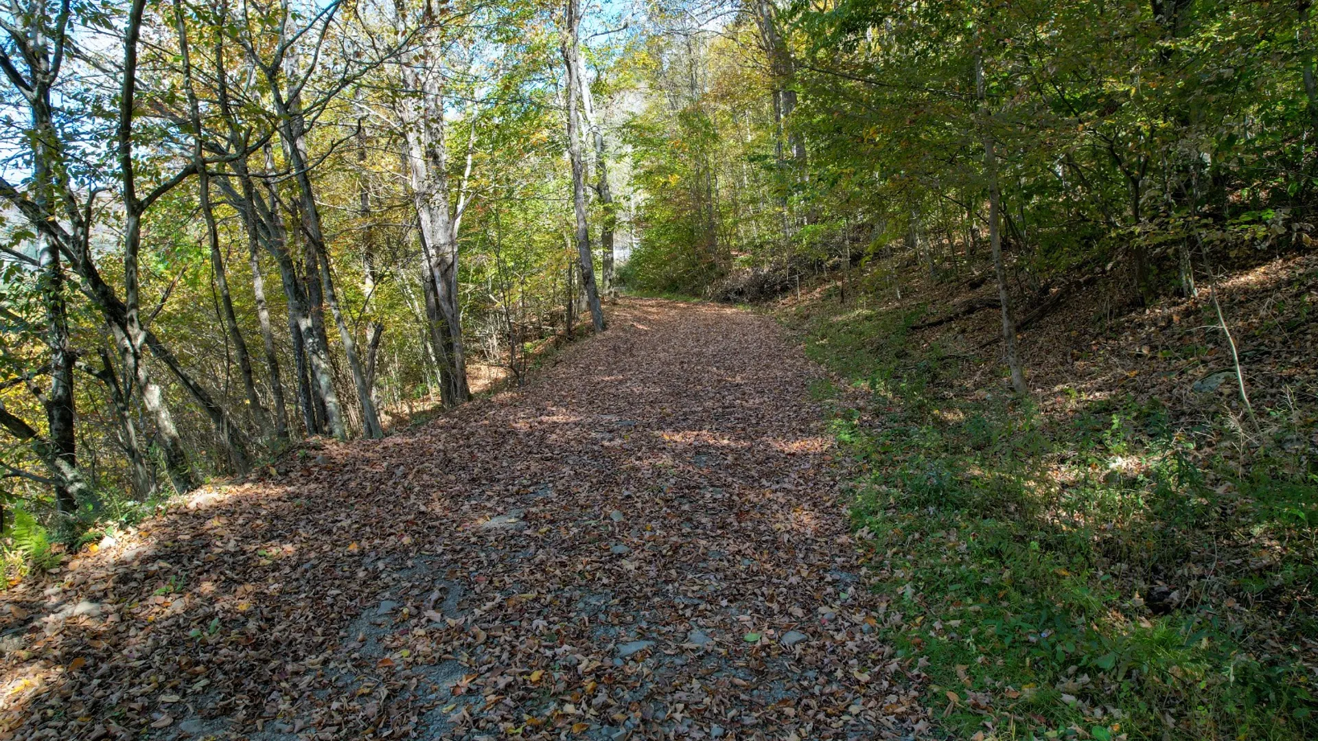 Property at 14401-14485 CR-17, Hancock, NY 13783 10