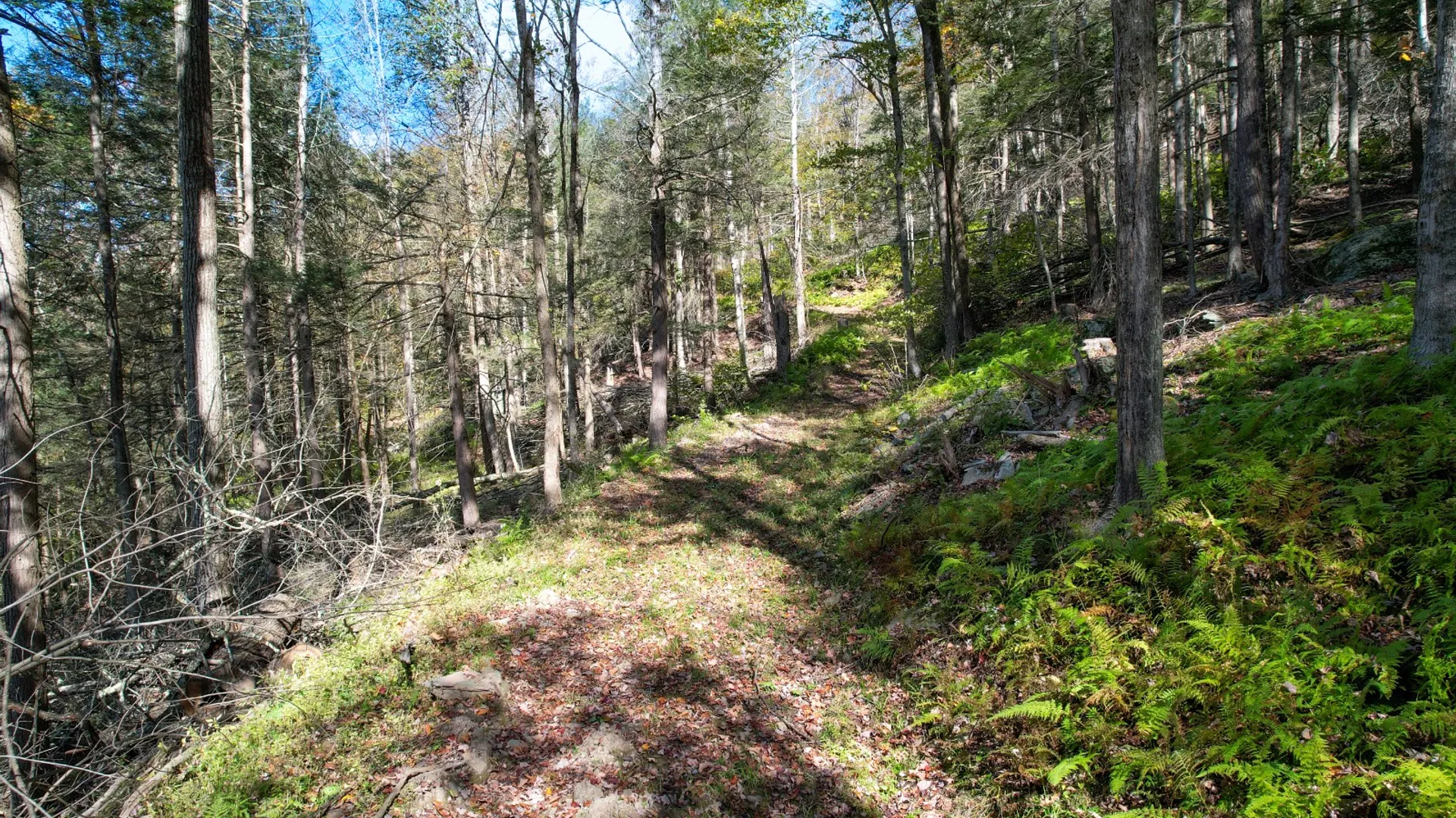 Property at 14401-14485 CR-17, Hancock, NY 13783 12