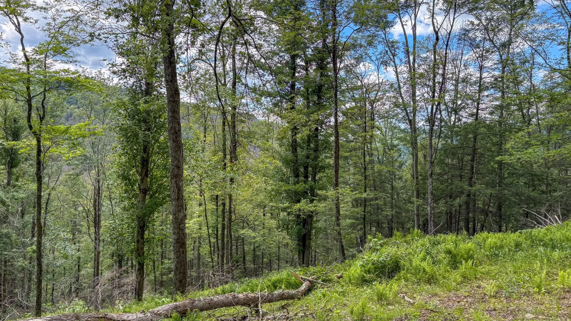 Property at 14401-14485 CR-17, Hancock, NY 13783 15