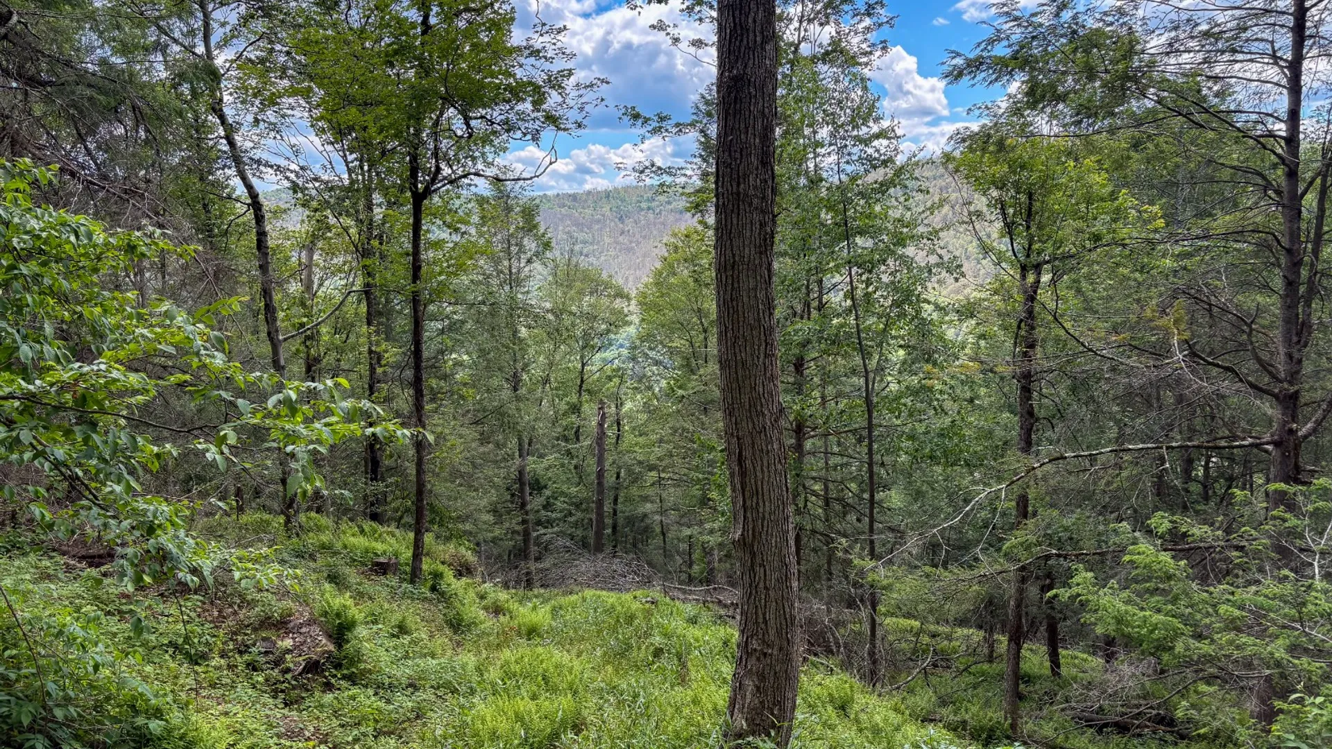 Property at 14401-14485 CR-17, Hancock, NY 13783 19