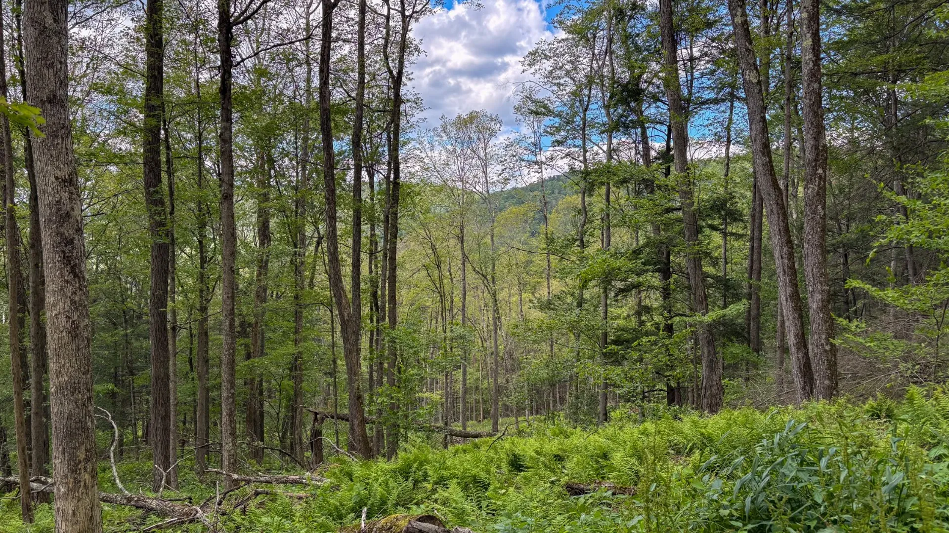 Property at 14401-14485 CR-17, Hancock, NY 13783 20