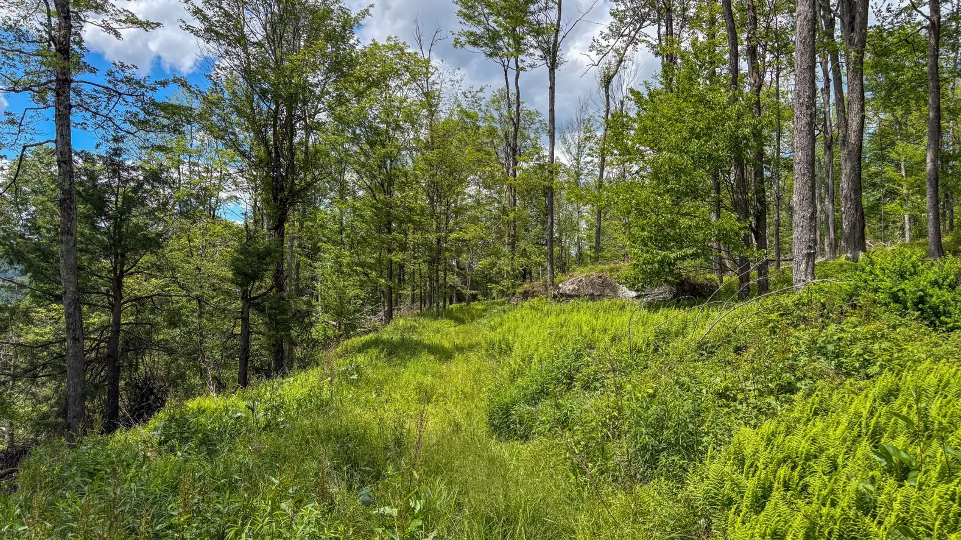 Property at 14401-14485 CR-17, Hancock, NY 13783 22
