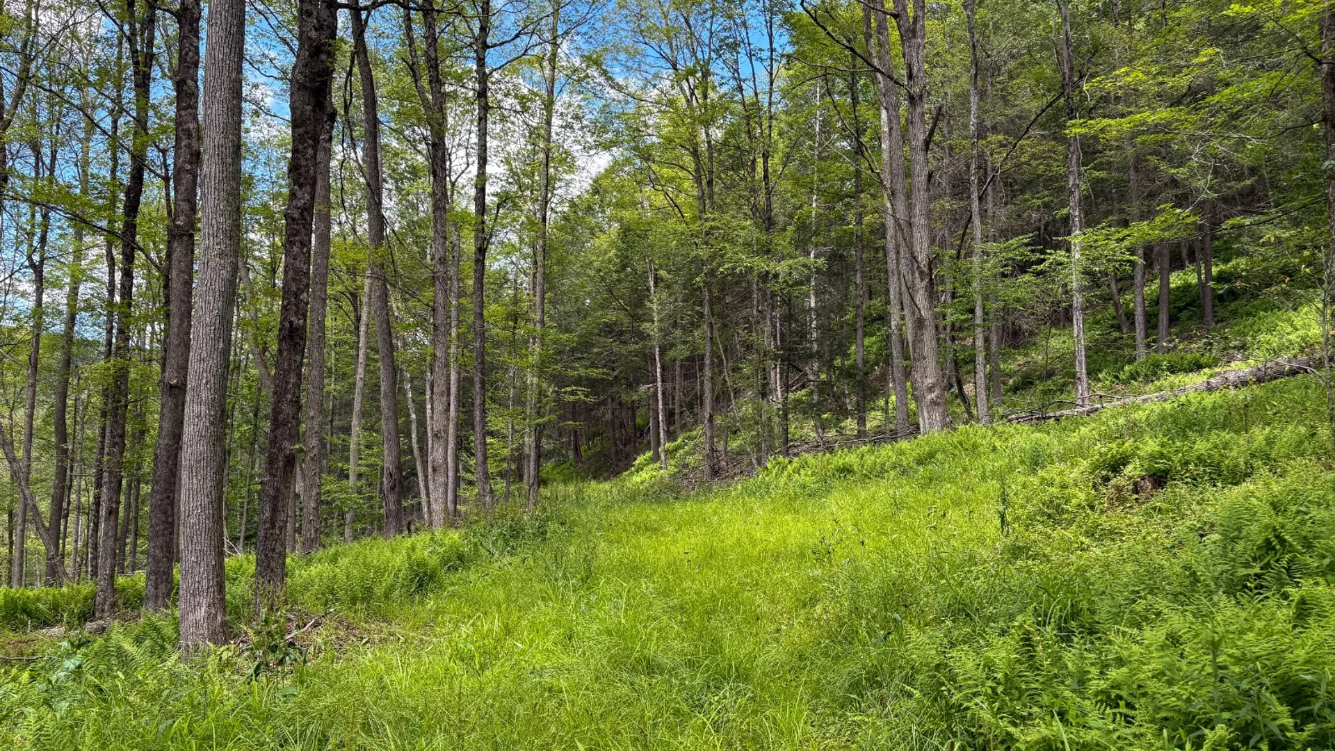 Property at 14401-14485 CR-17, Hancock, NY 13783 25