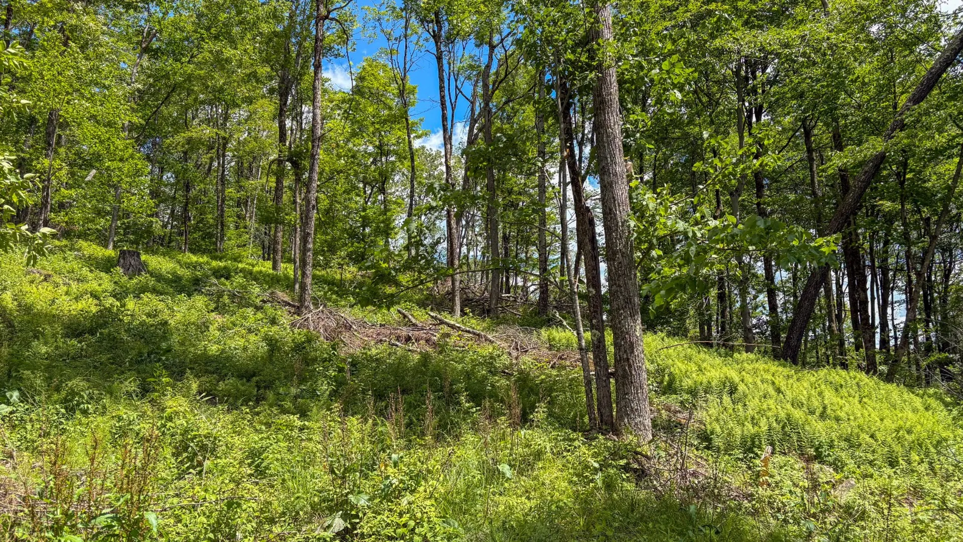 Property at 14401-14485 CR-17, Hancock, NY 13783 26