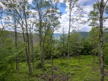 Property at 14401-14485 CR-17, Hancock, NY 13783