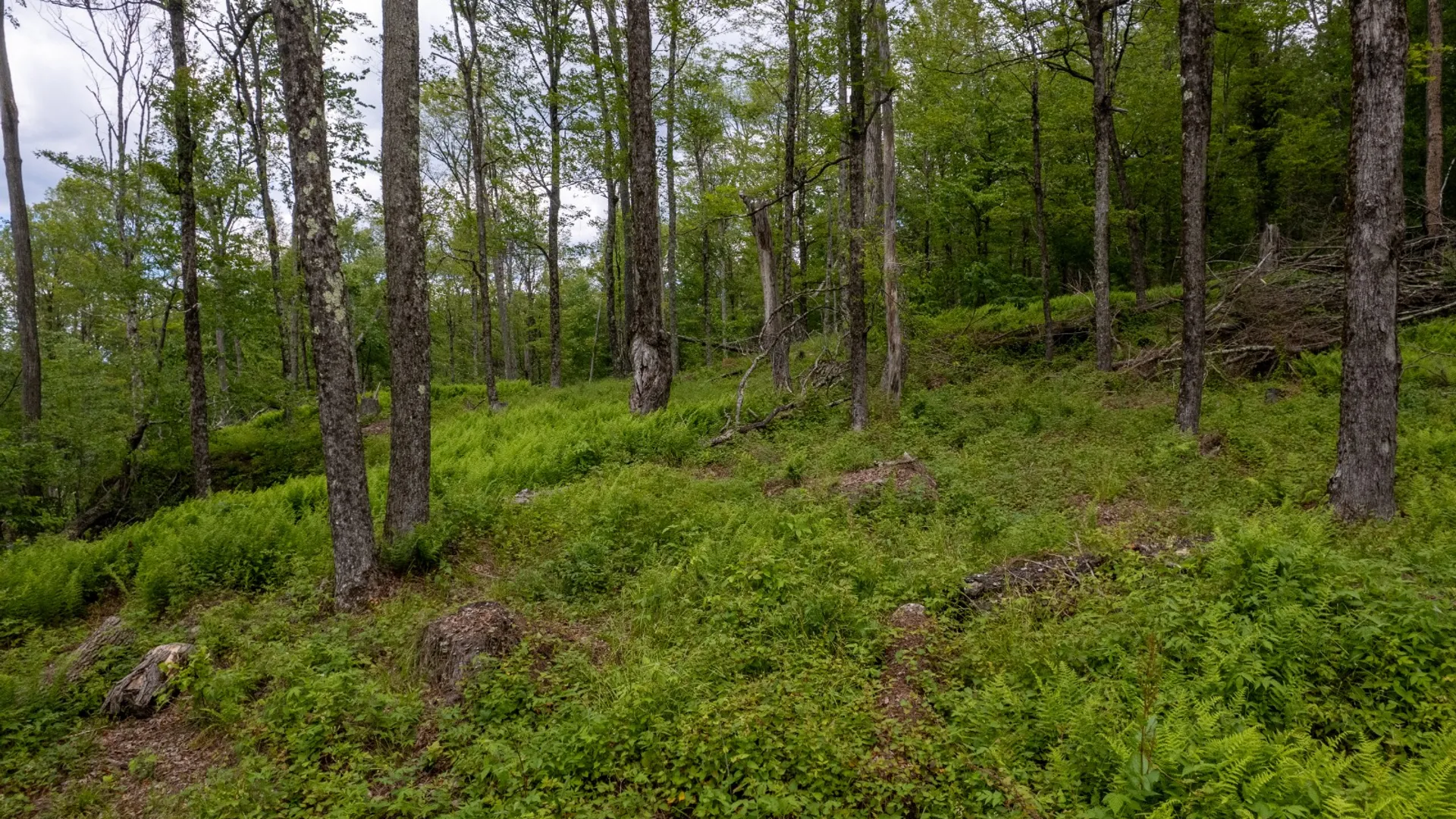 Property at 14401-14485 CR-17, Hancock, NY 13783 27