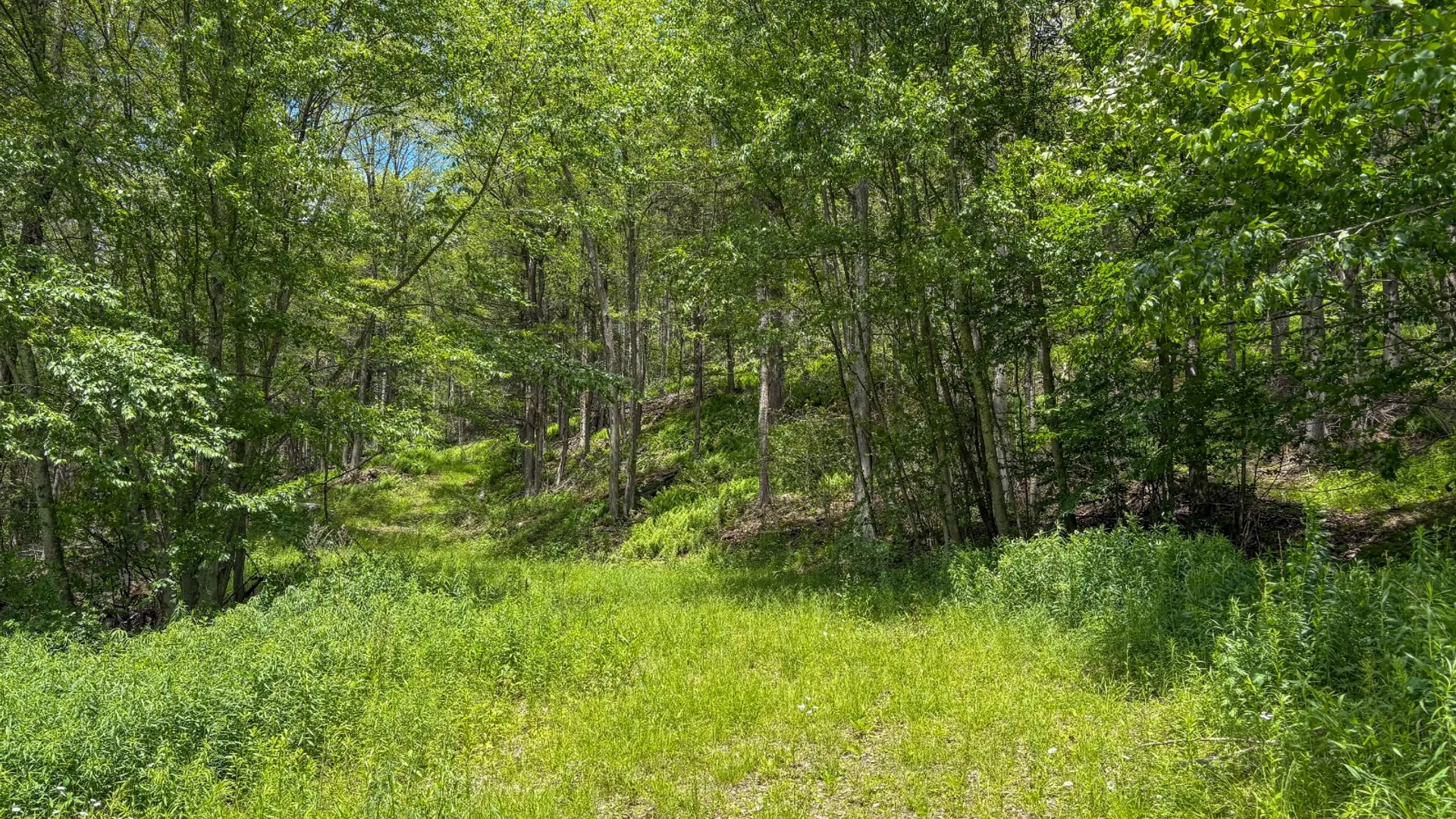 Property at 14401-14485 CR-17, Hancock, NY 13783 30