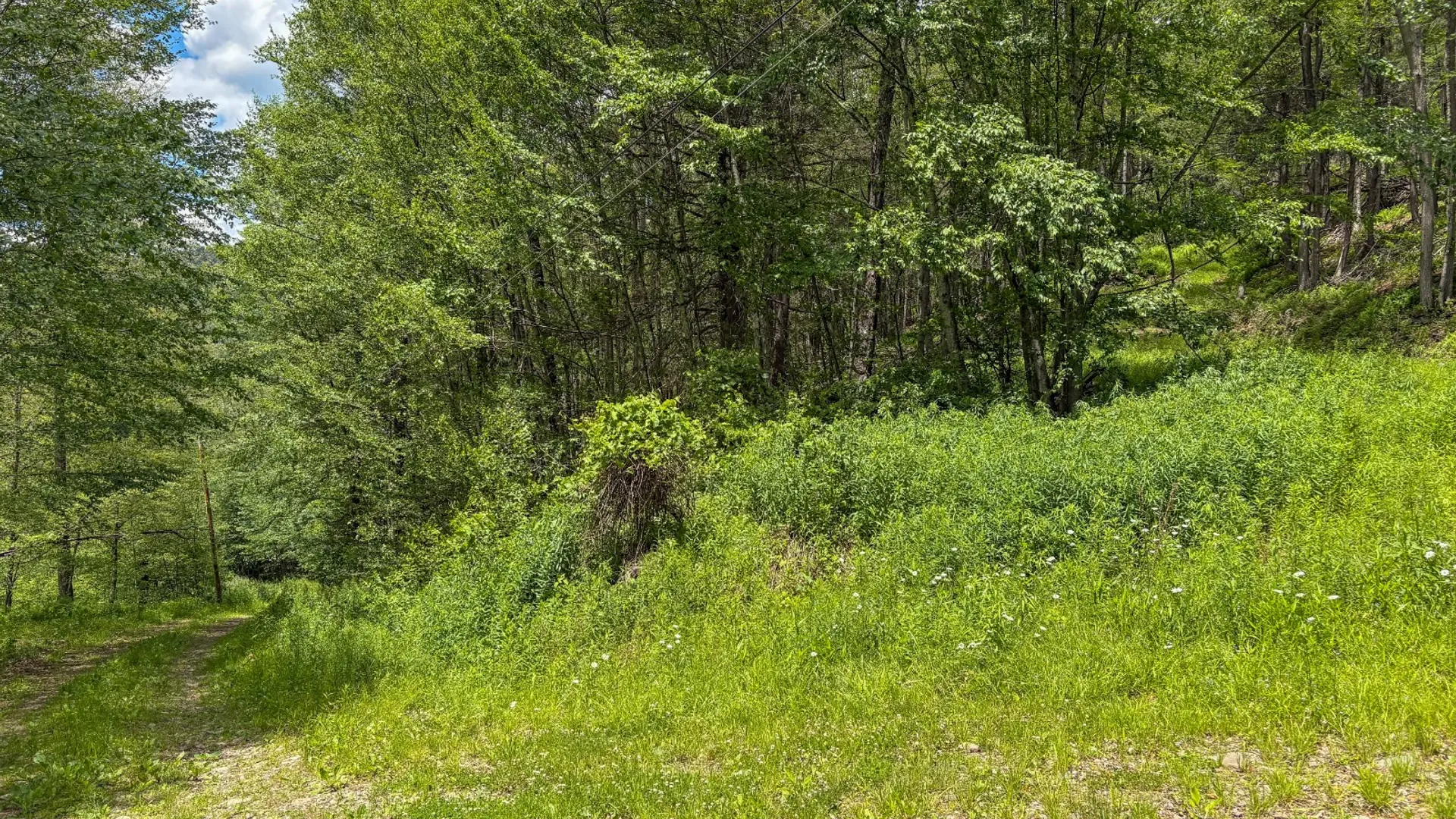 Property at 14401-14485 CR-17, Hancock, NY 13783 31