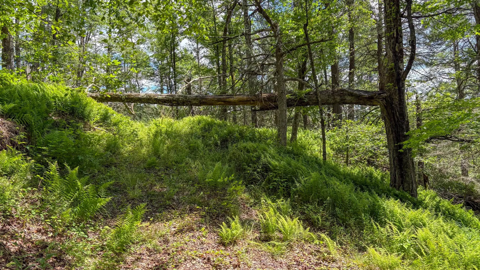 Property at 14401-14485 CR-17, Hancock, NY 13783 32