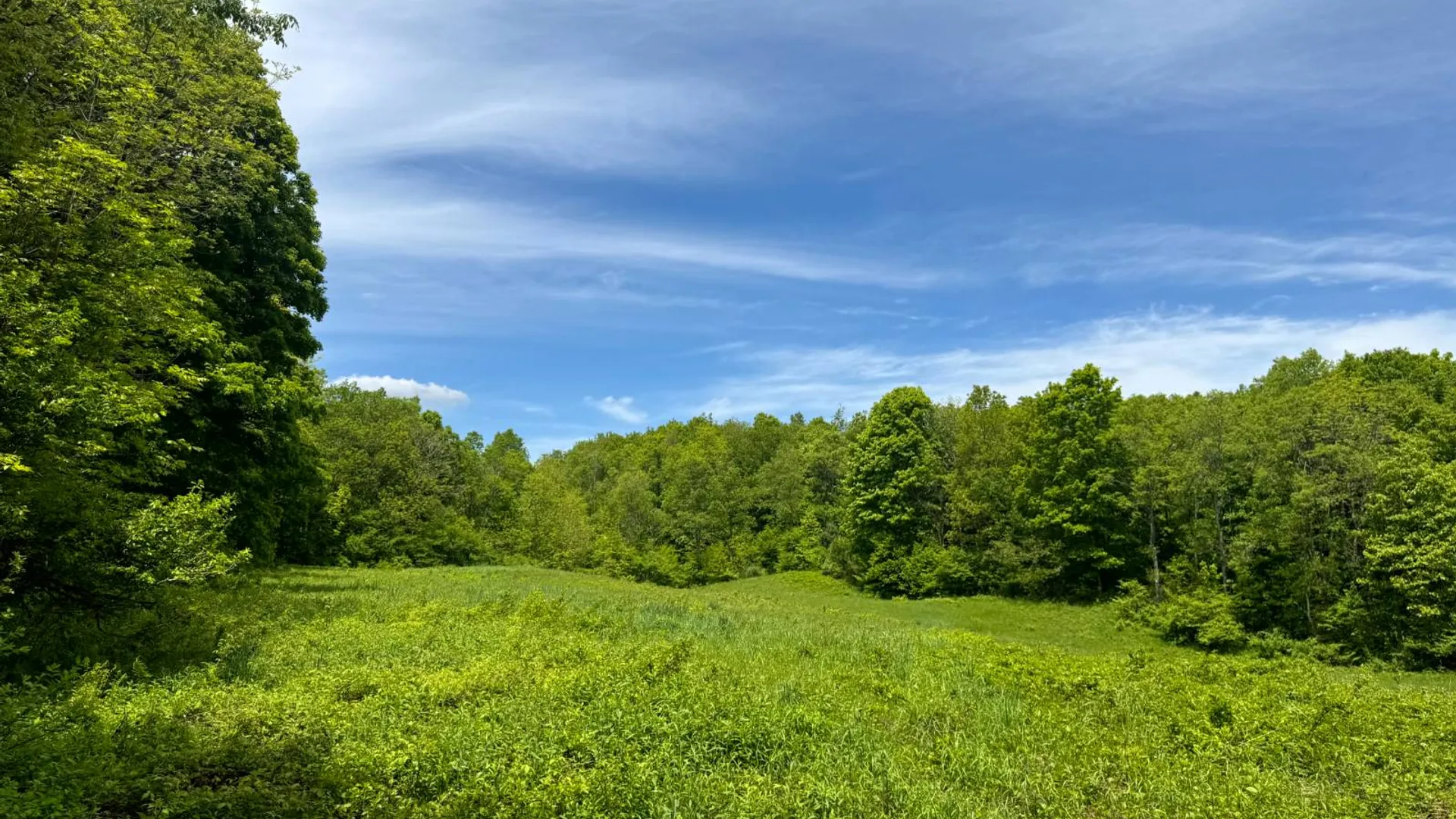 Property at 1.7 Manley Taylor Rd Ext., Florence, NY 13316 7