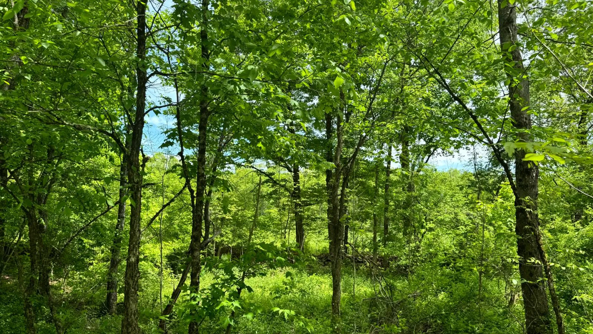 Property at 1.7 Manley Taylor Rd Ext., Florence, NY 13316 9