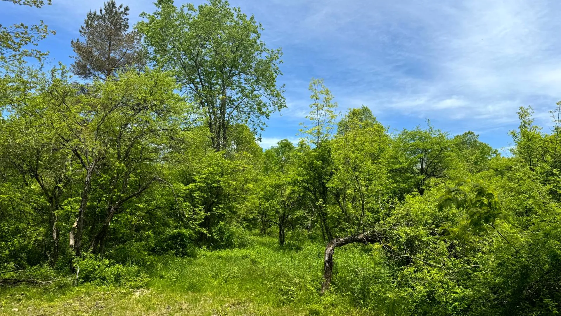 Property at 1.7 Manley Taylor Rd Ext., Florence, NY 13316 12
