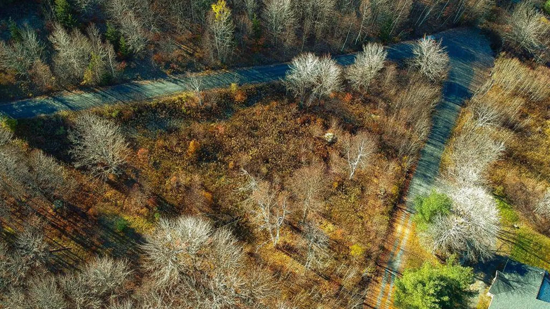 Property at L38 Panarama Ln, Windham, NY 12496 3