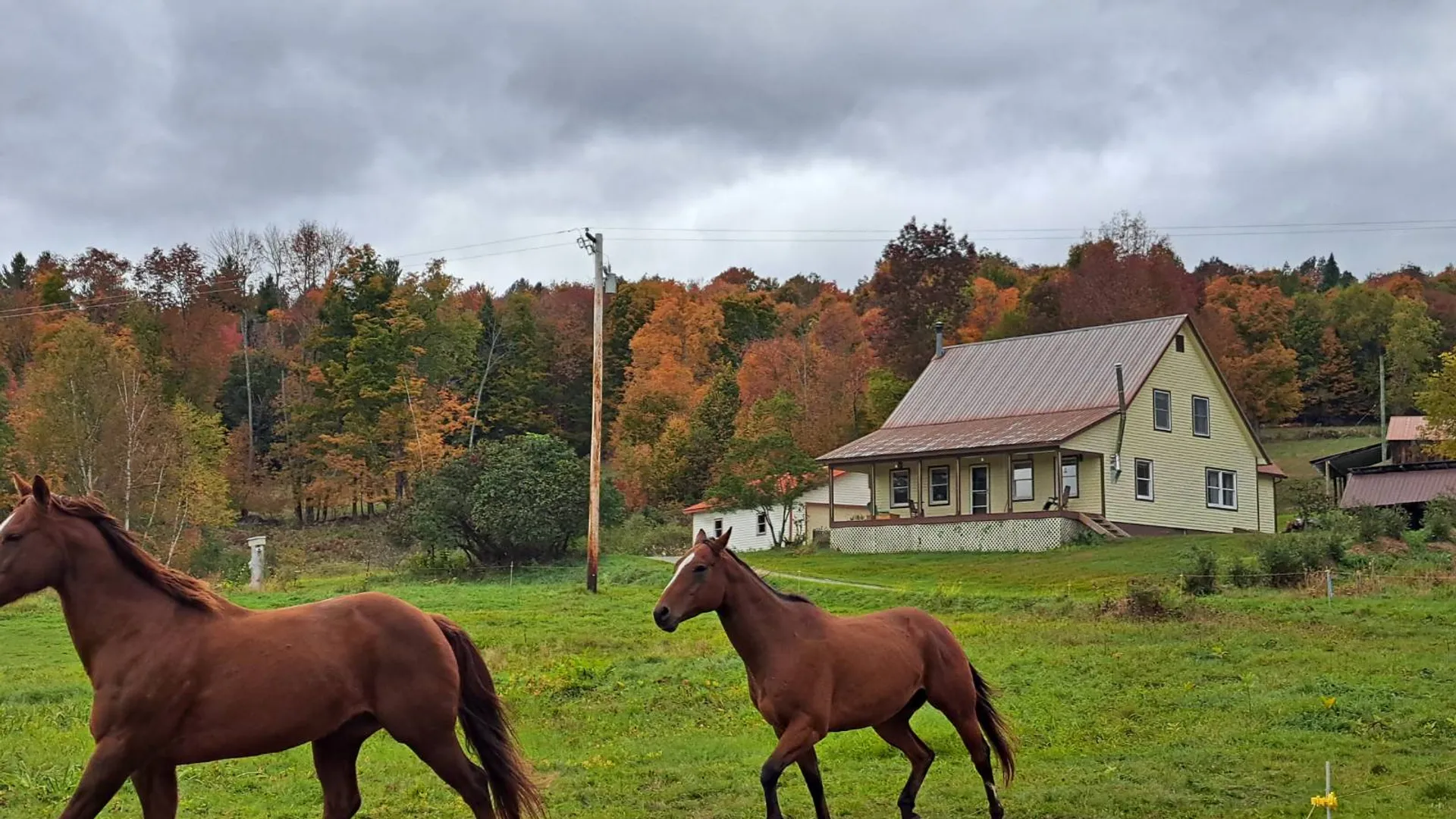 Property at 51 Barney Hill Road, Bakers Mills, NY 12843 6