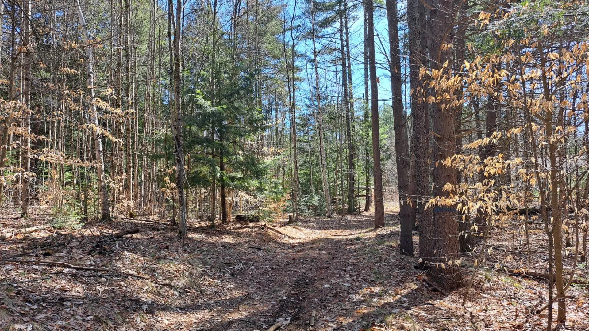 Property at L 21.1 Cloverleaf Drive, Warrensburg, NY 12885 30