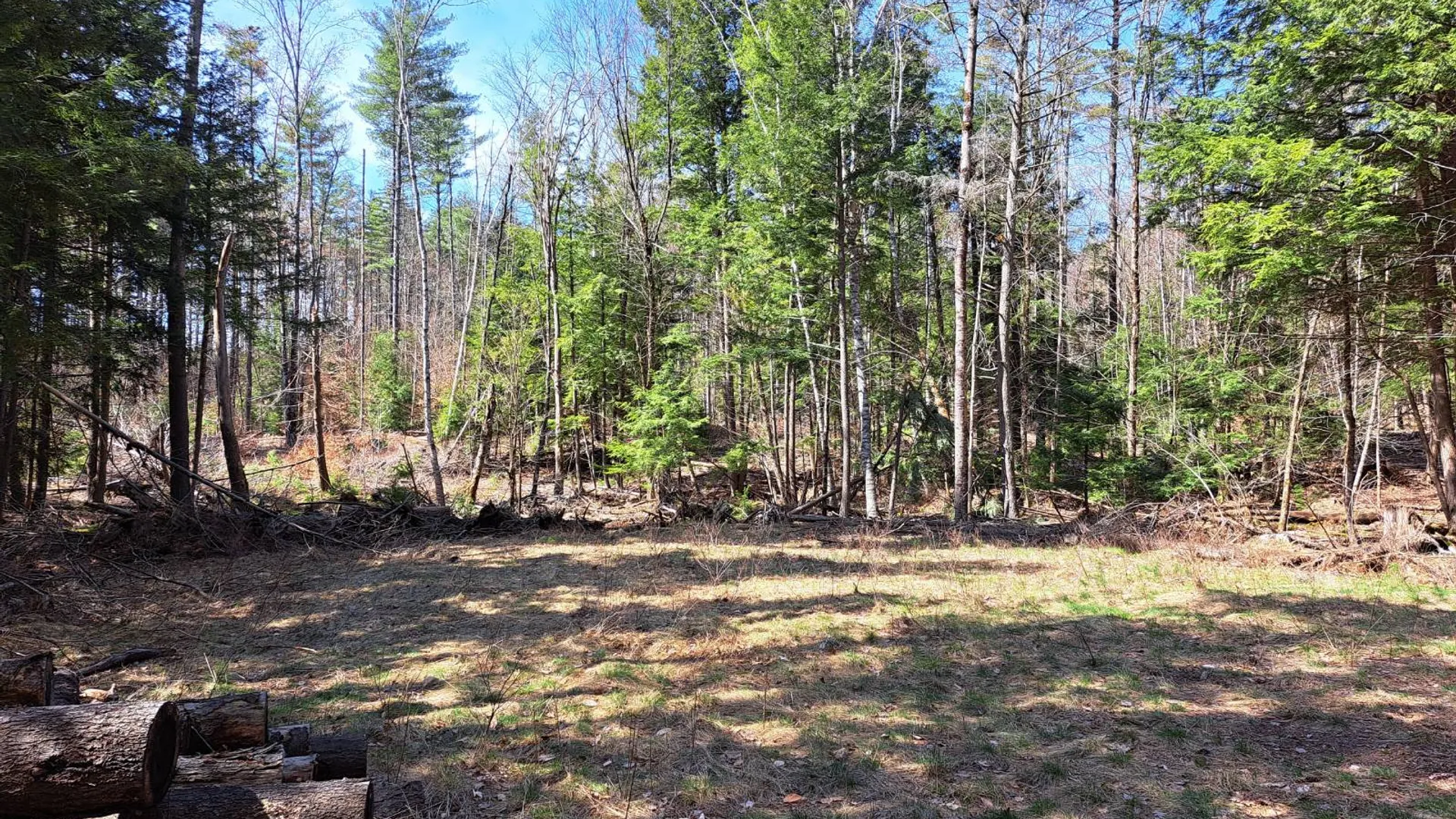 Property at L 21.1 Cloverleaf Drive, Warrensburg, NY 12885 31
